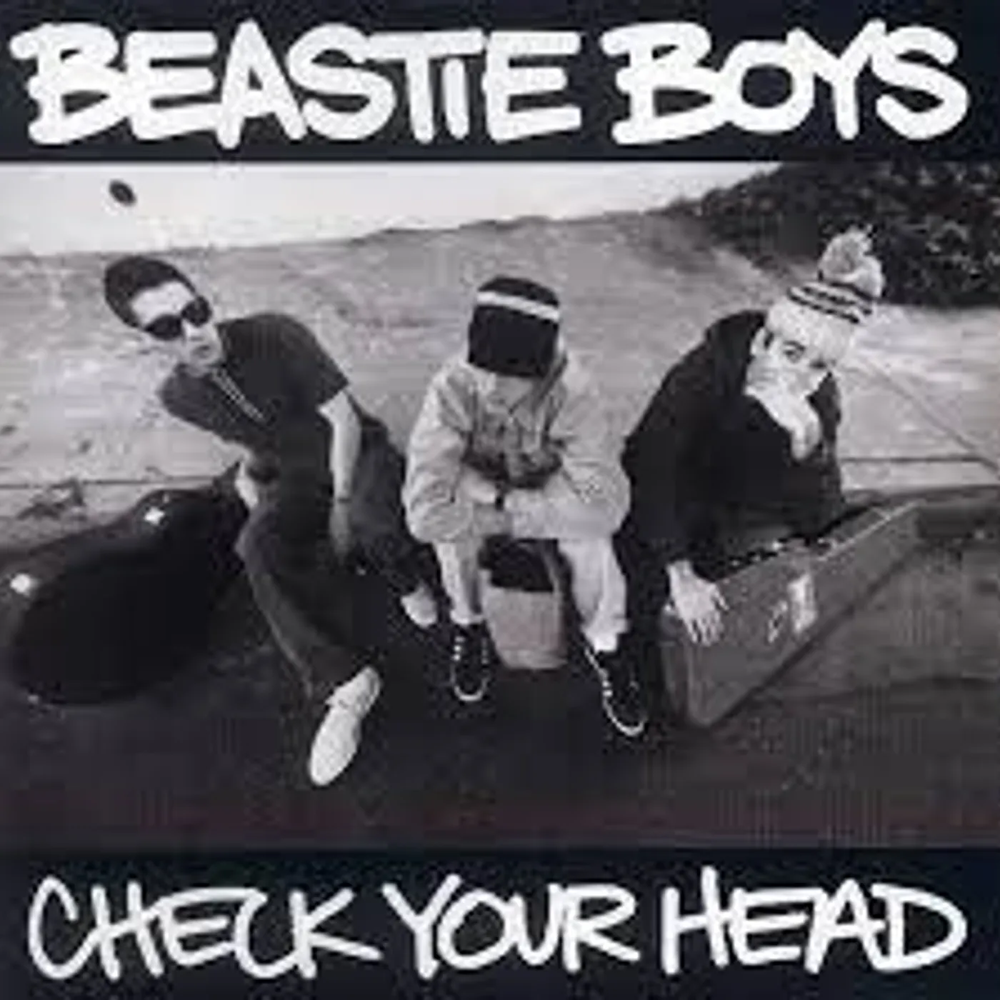 Beastie Boys - Check Your Head (Vinyl)