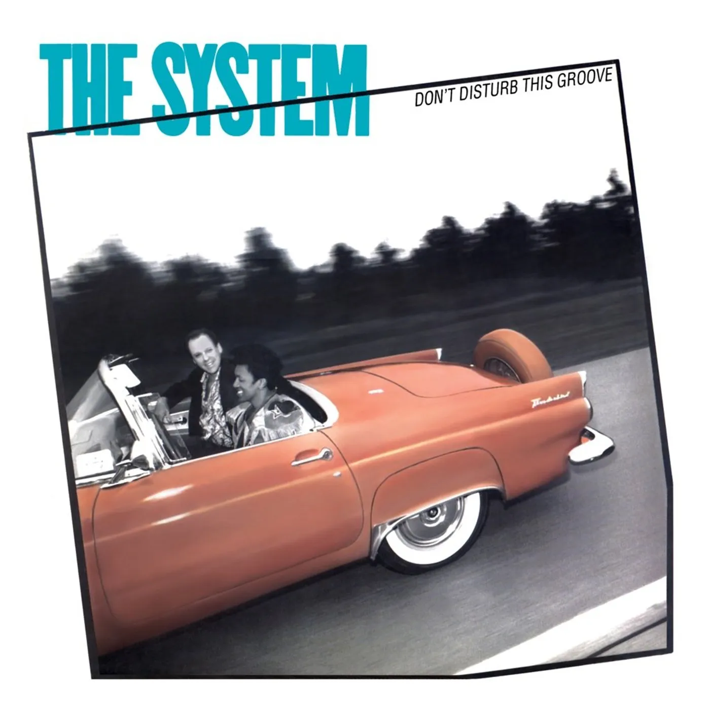 The System - Don't Disturb This Groove