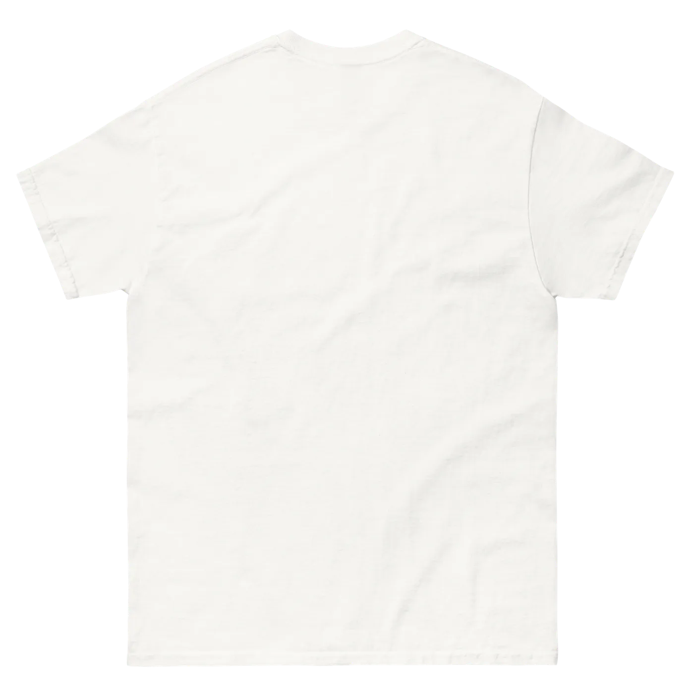 The Goo Goo Dolls Dizzy Up The Girl Vintage Tee