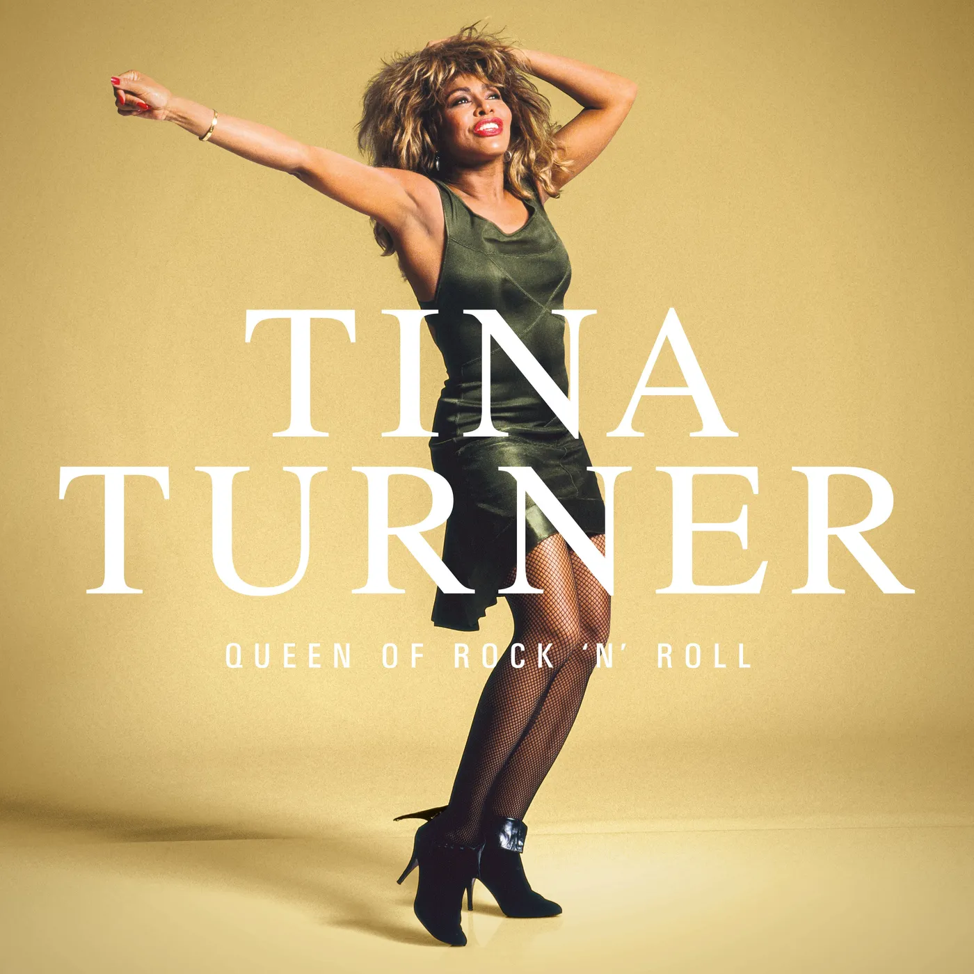 Tina Turner Queen Of Rock N’ Roll (Black LP) (Vinyl)