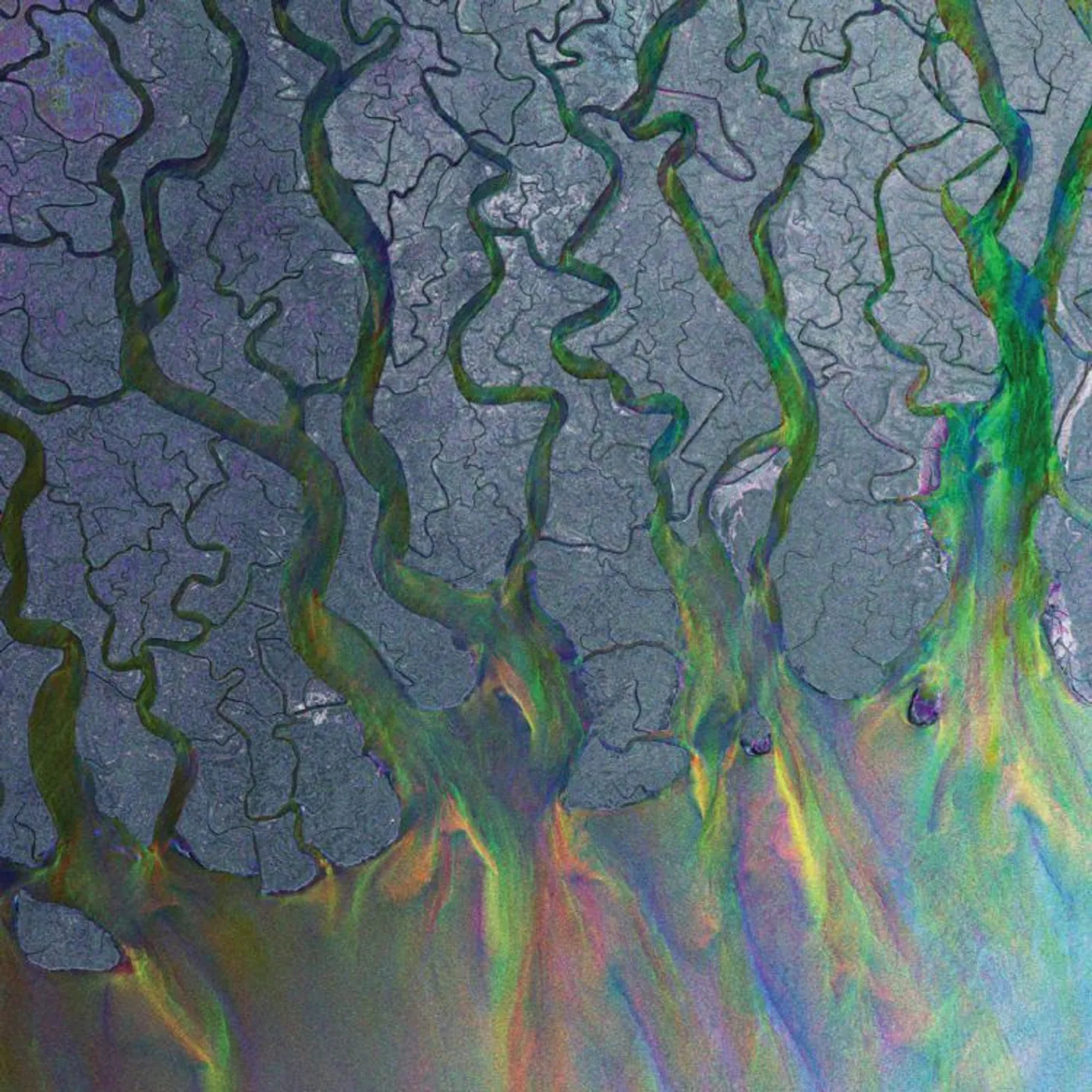 alt-J An Awesome Wave CD