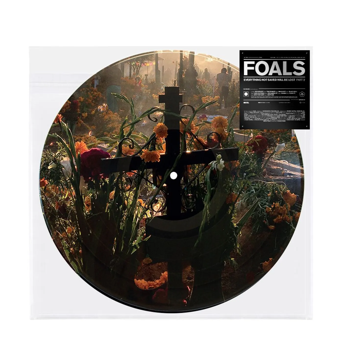 Foals Everything Not Saved Will Be Lost Part Two Picture Disc (Vinyl)