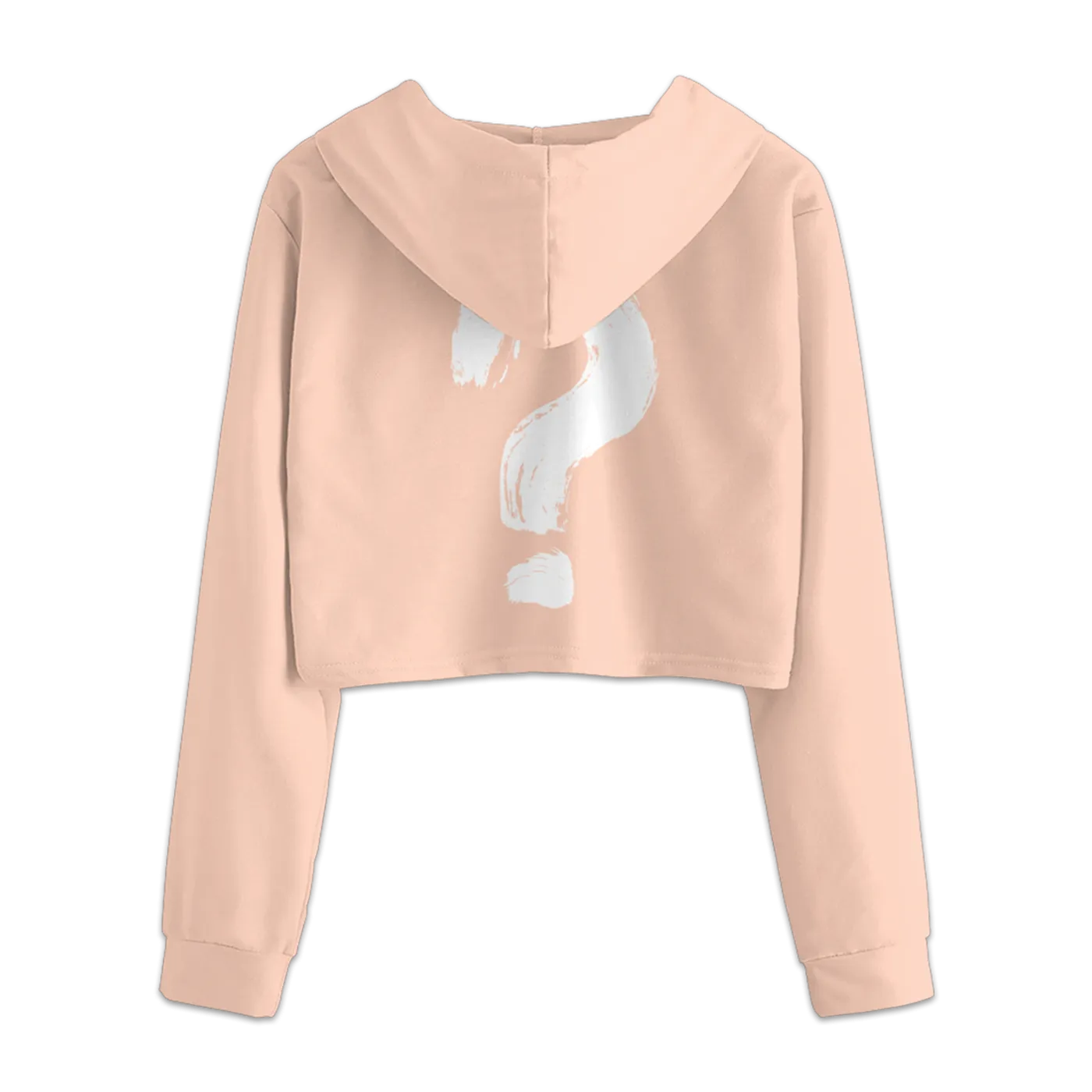 Why Don't We 2020 Logo Crop Hoodie