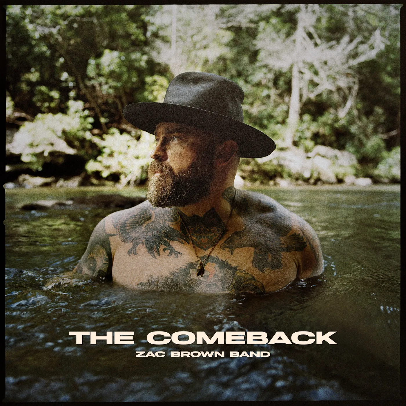 Zac Brown Band The Comeback Vinyl