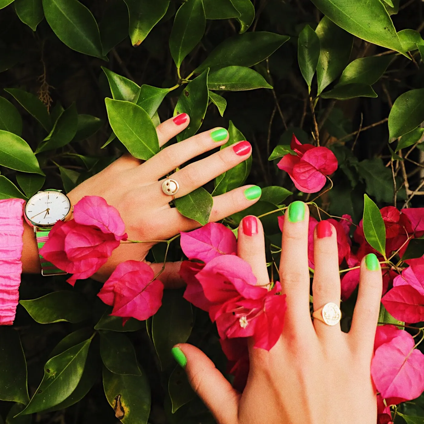 Roy Purdy Purdy Gang Pink and Green Nail Polish Bundle