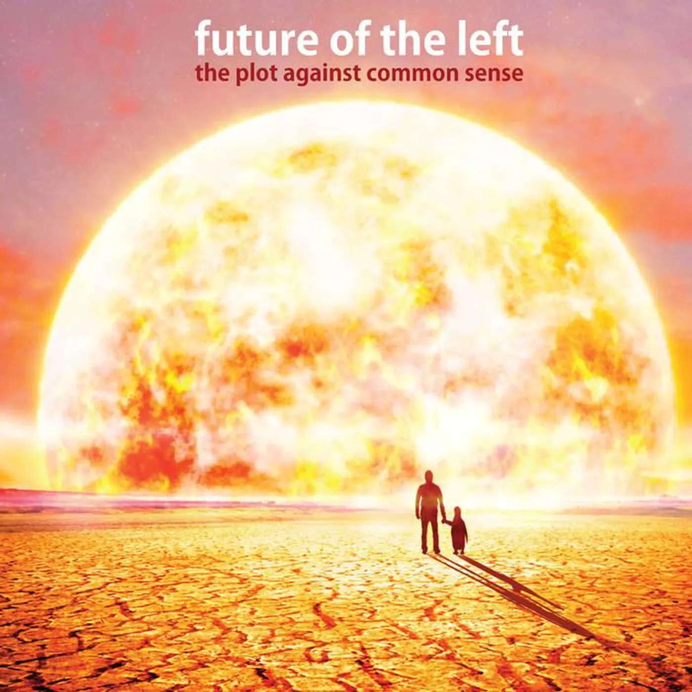Future Of The Left The Plot Against Common Sense CD