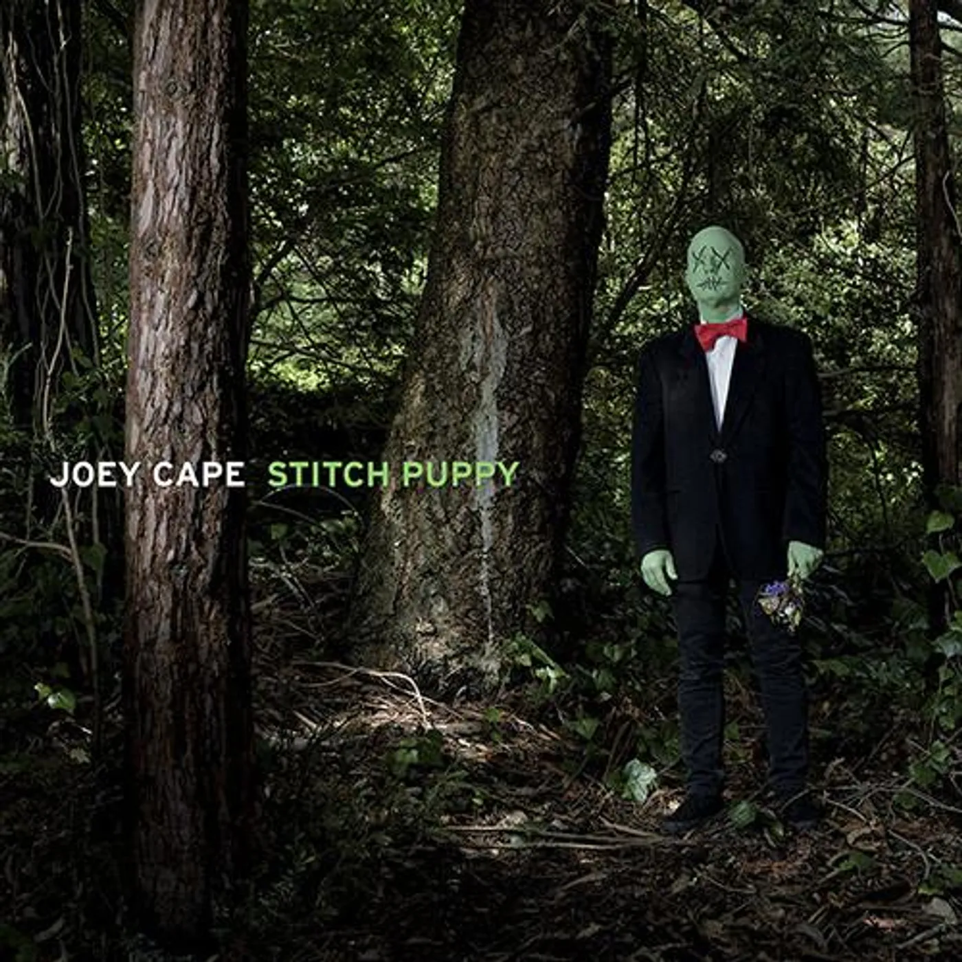 Joey Cape Stitch Puppy CD