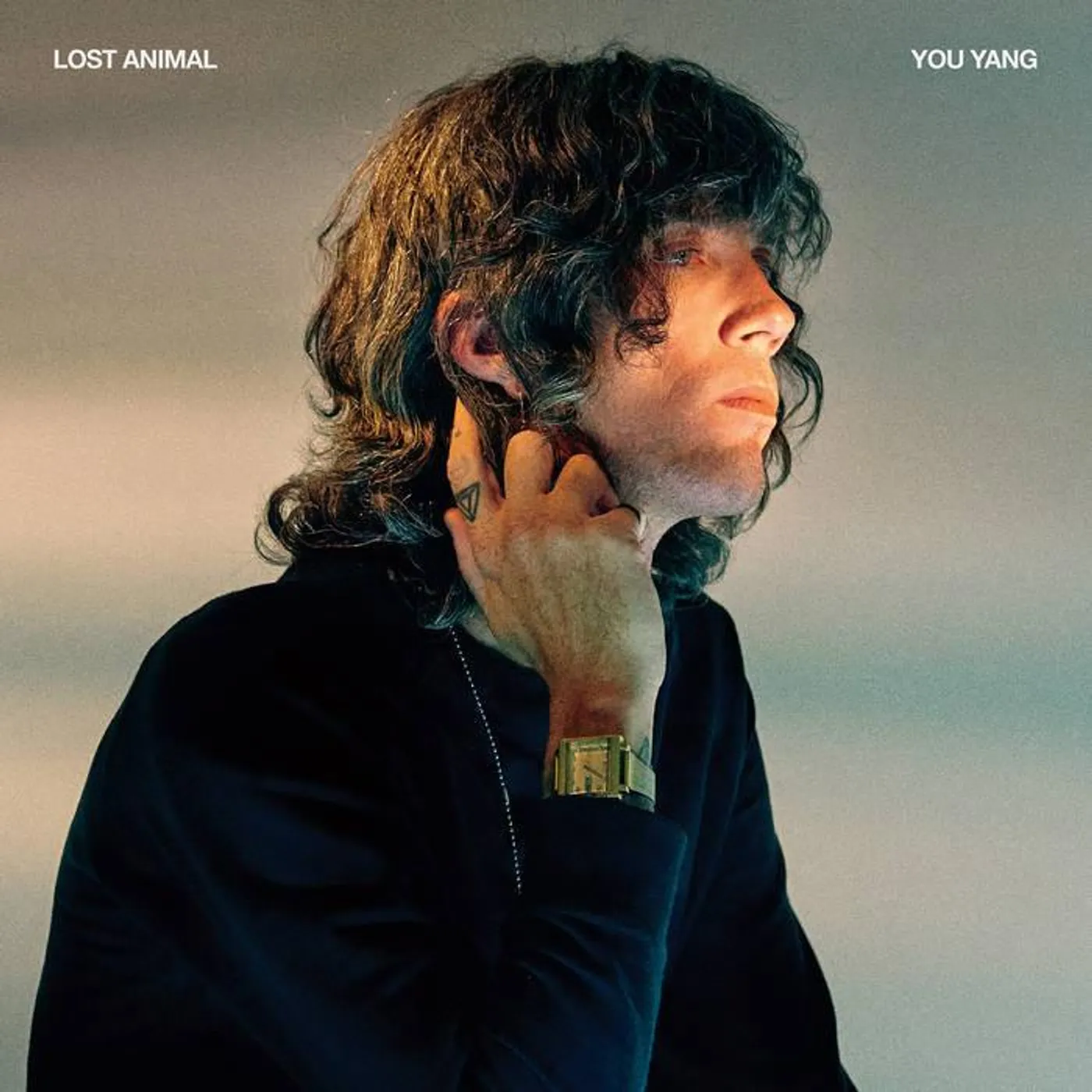 Lost Animal You Yang CD