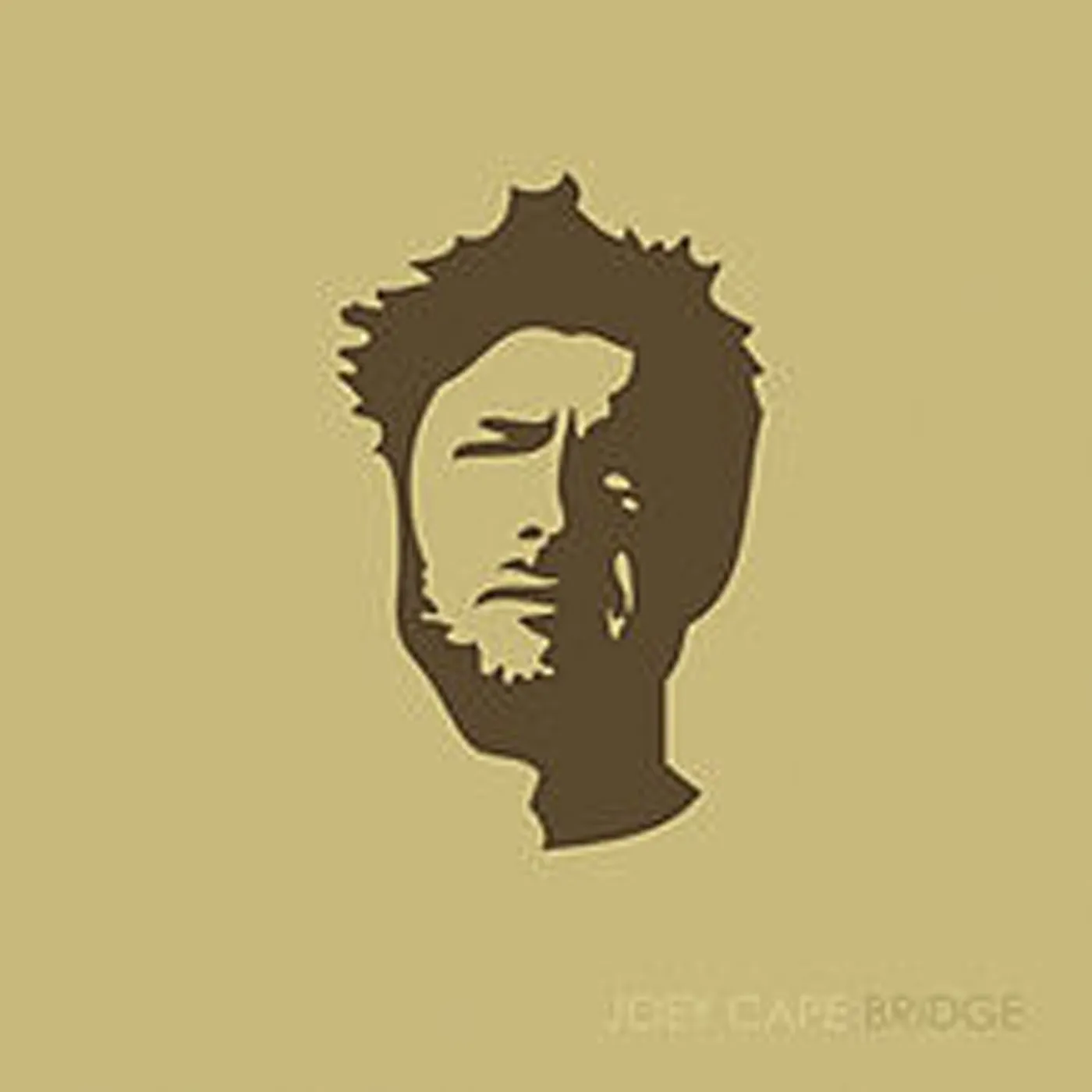 Joey Cape Bridge CD