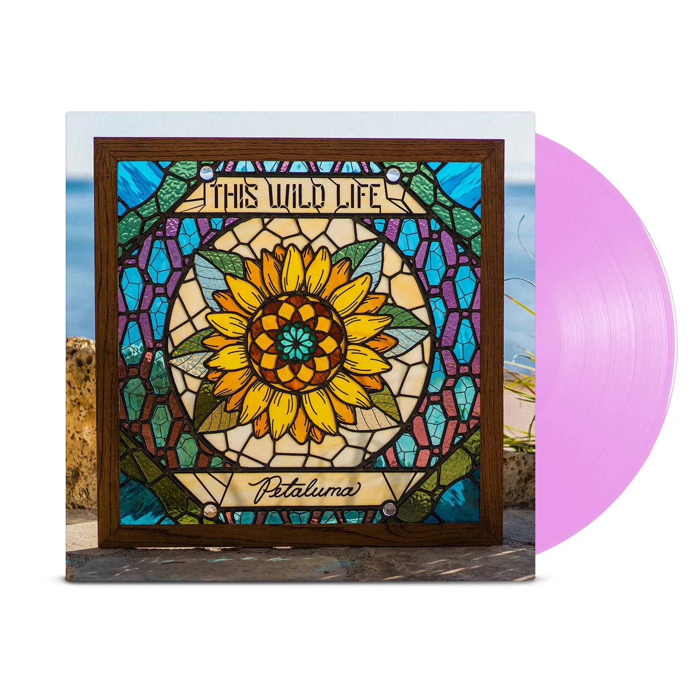 This Wild Life Petaluma LP (Translucent Pink) (Vinyl)