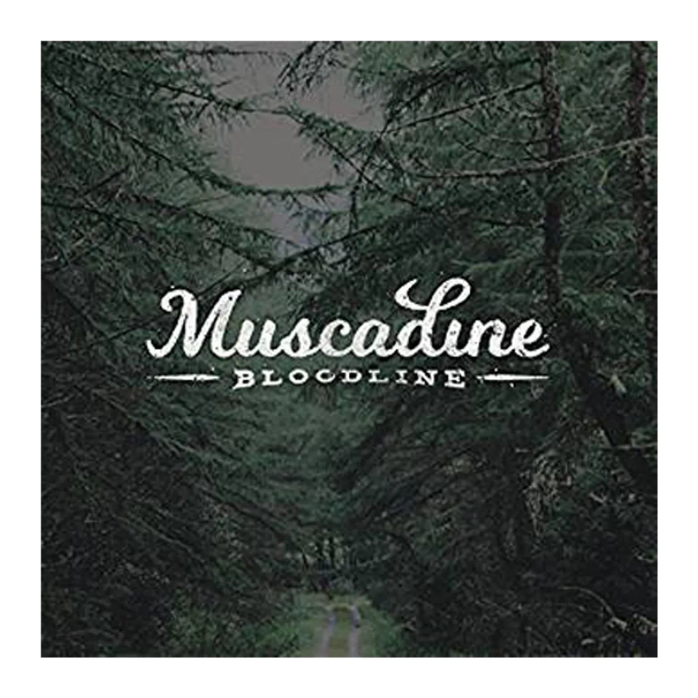 Muscadine Bloodline (CD)