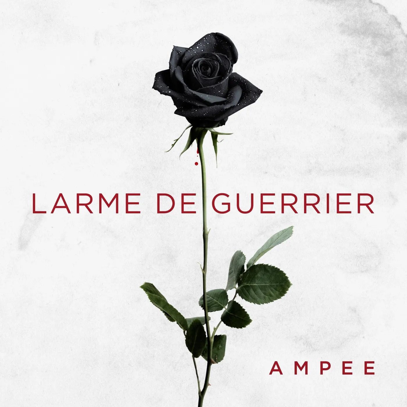 Ampee / Larme de guerrier - CD