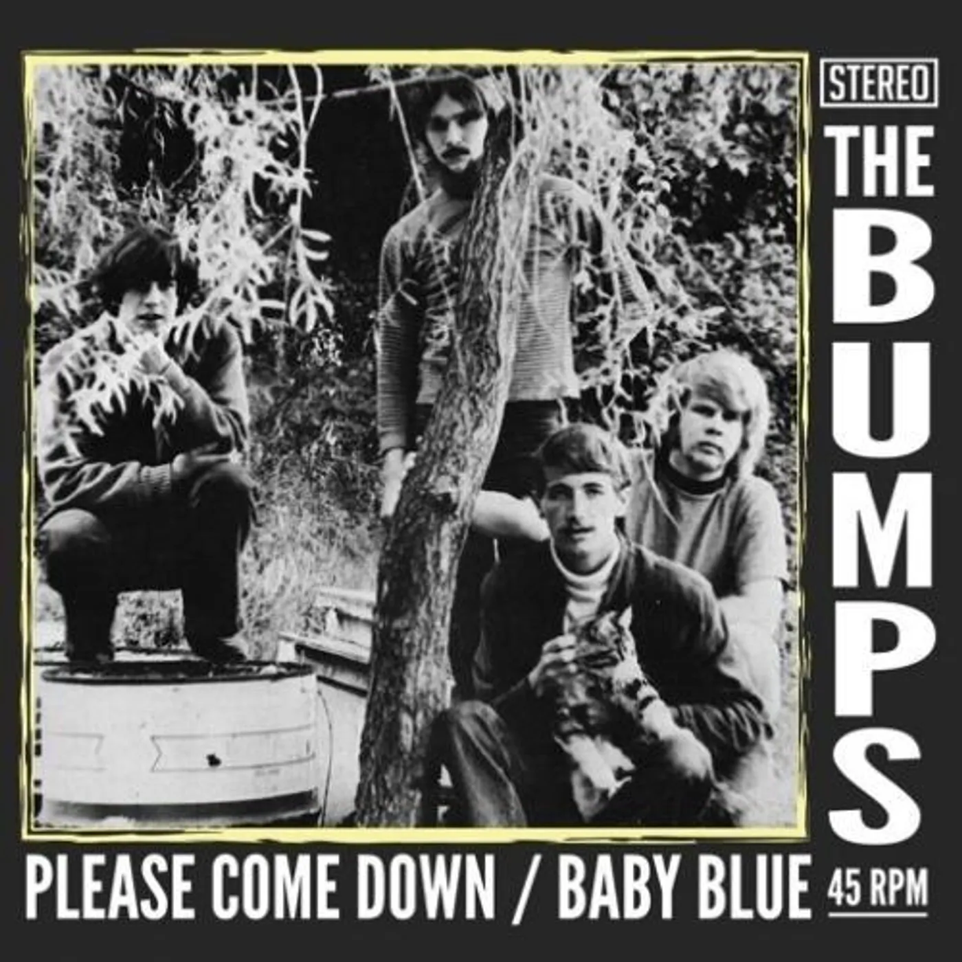 Pearl Jam THE BUMPS Please Come Down b/w Baby Blue 7" VINYL SINGLE