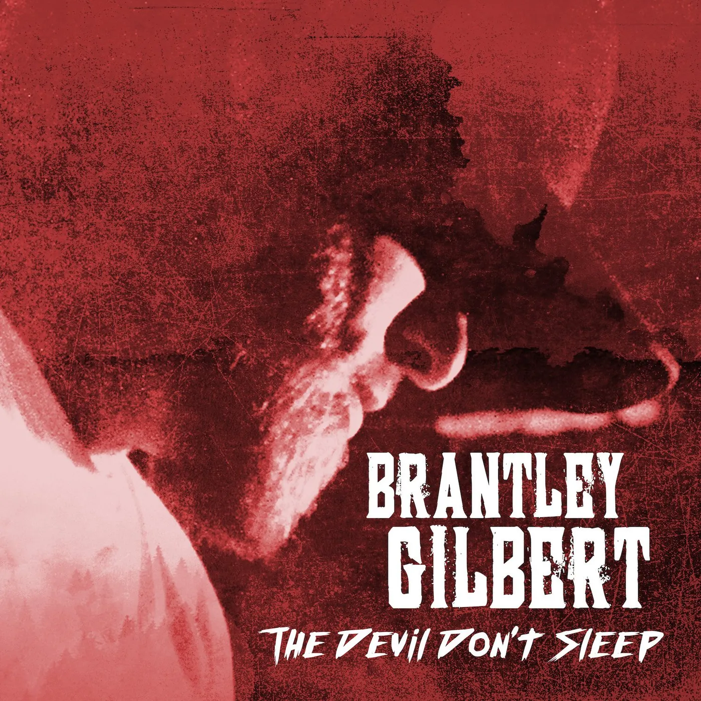 Brantley Gilbert - The Devil Don't Sleep (Standard Vinyl)