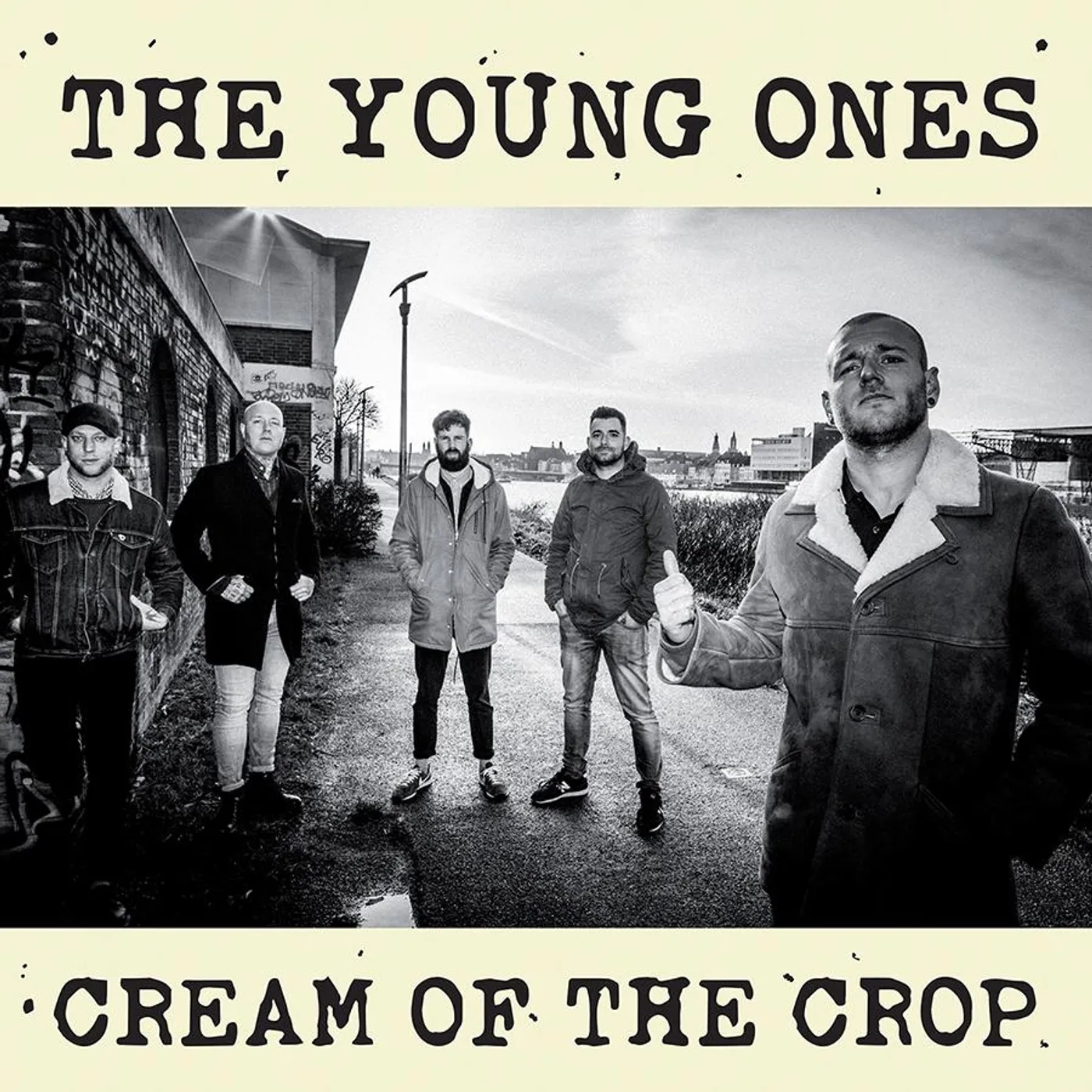 THE YOUNG ONES - "Cream Of The Crop" 12" LP (Vinyl)