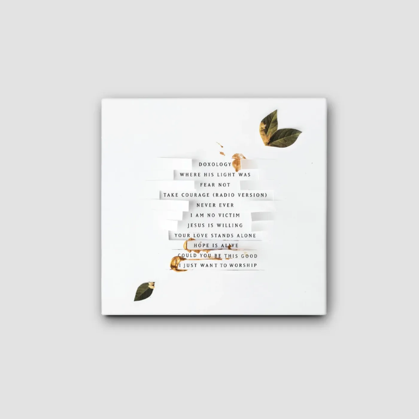 Kristene DiMarco Where His Light Was - CD, Vinyl