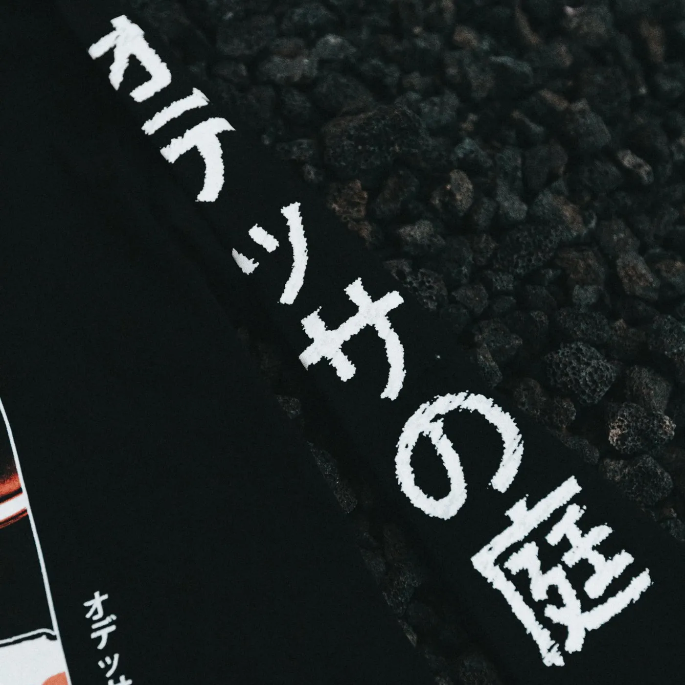 Lil Boom Odessa's Garden Black Long Sleeve