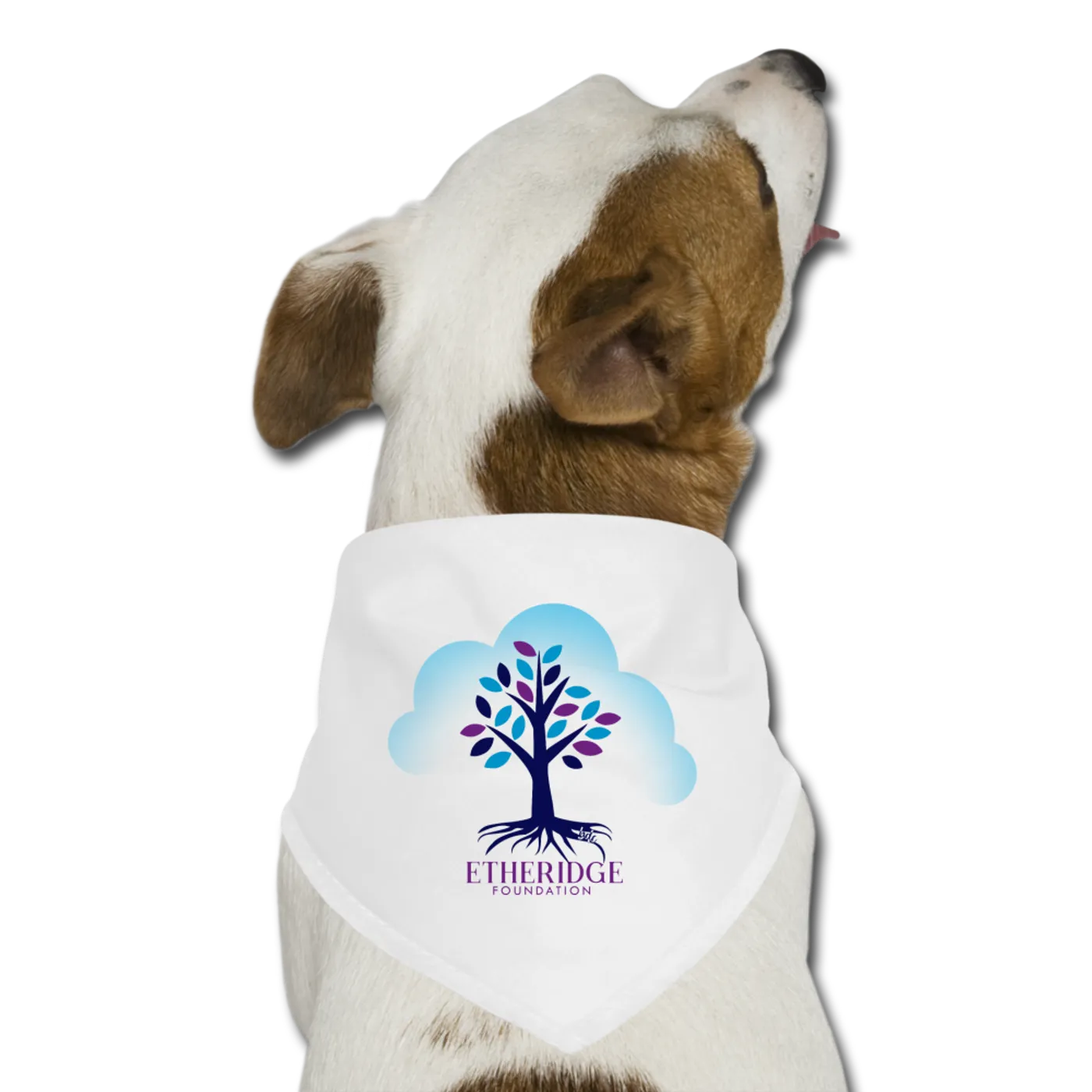 Melissa Etheridge White Etheridge Foundation Pet Bandana