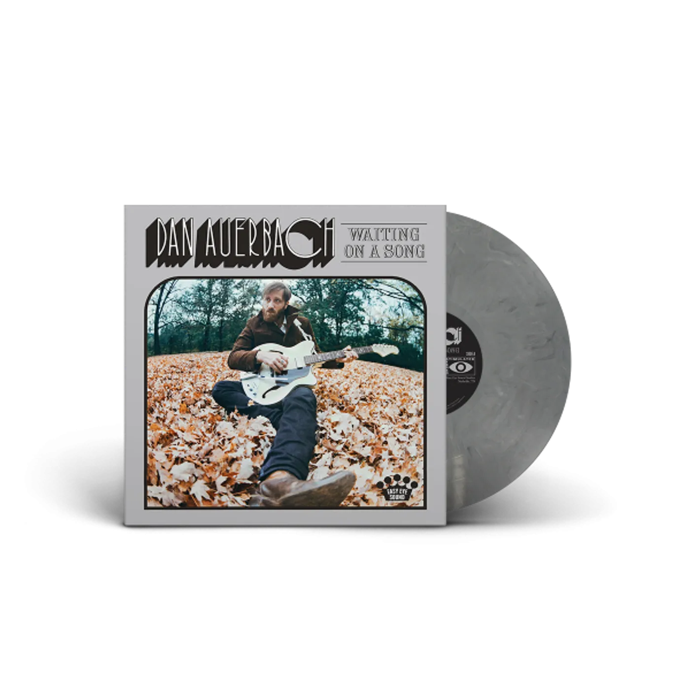 Dan Auerbach Waiting On A Song [Marbled Gray Vinyl]