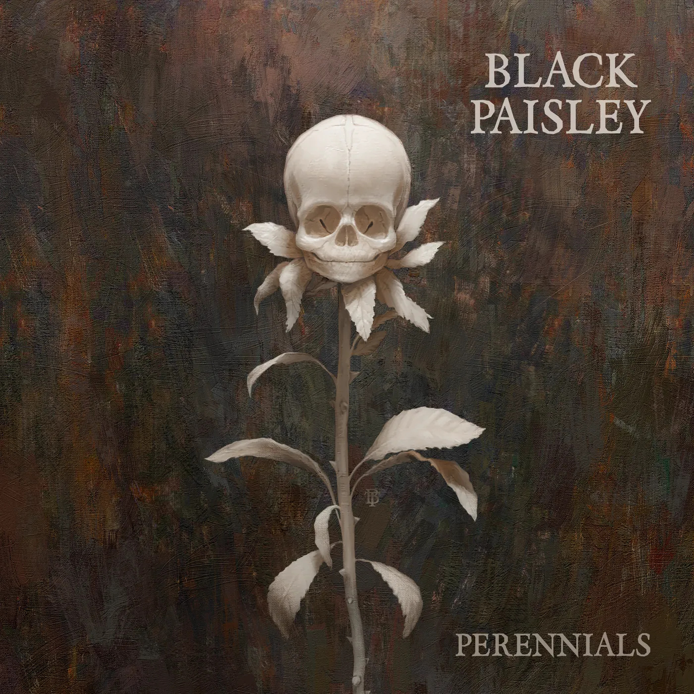 Black Paisley Perennials CD