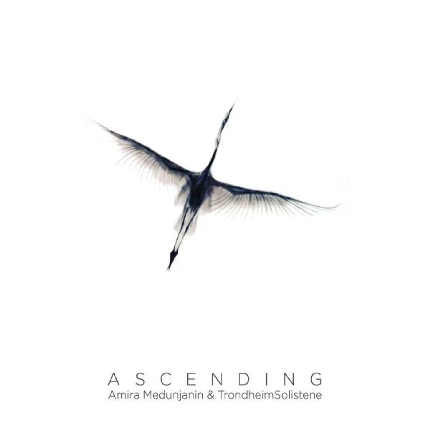 AMIRA MEDUNJANIN & TRONDHEIMSOLISTENE - ASCENDING