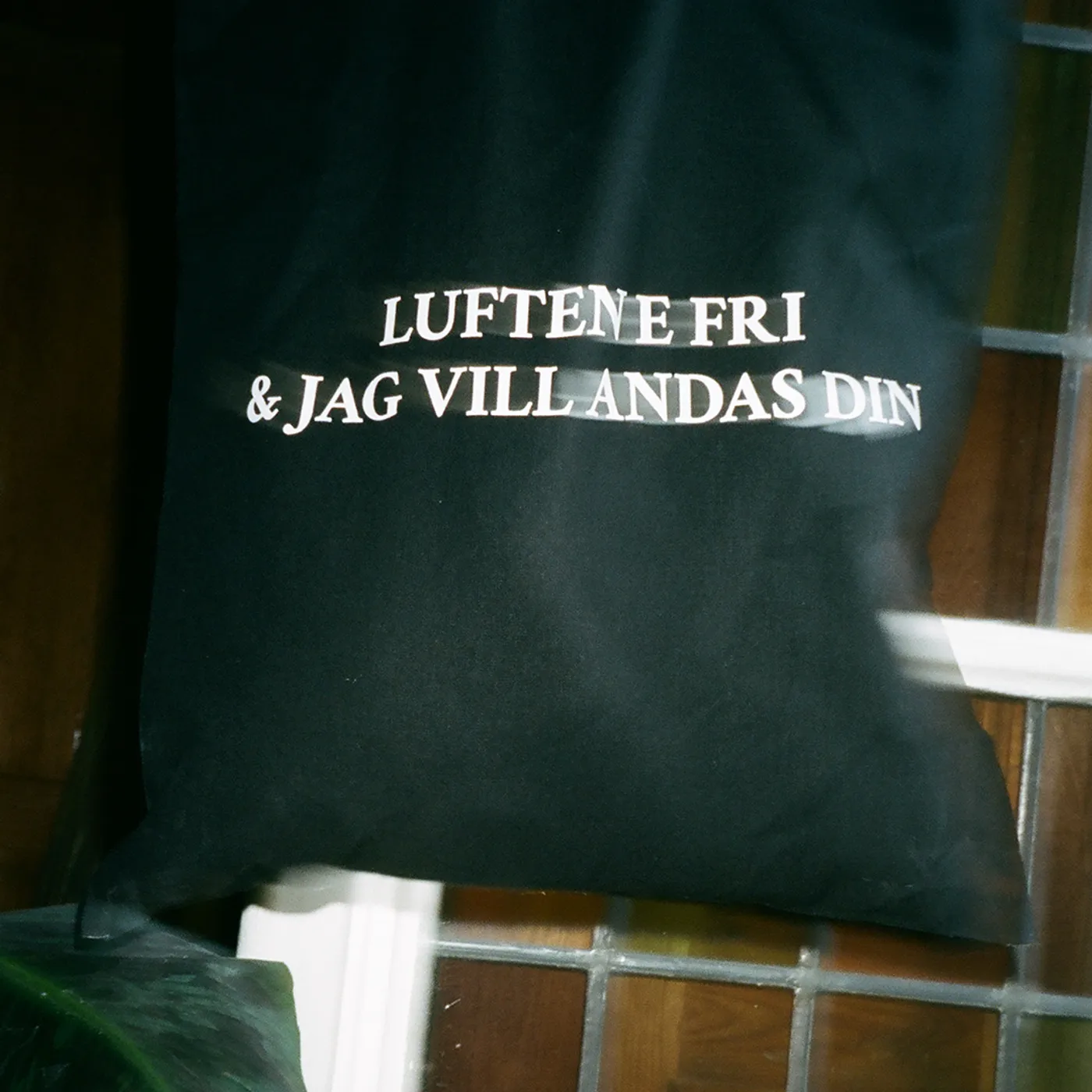 Molly Sandén Tygväska