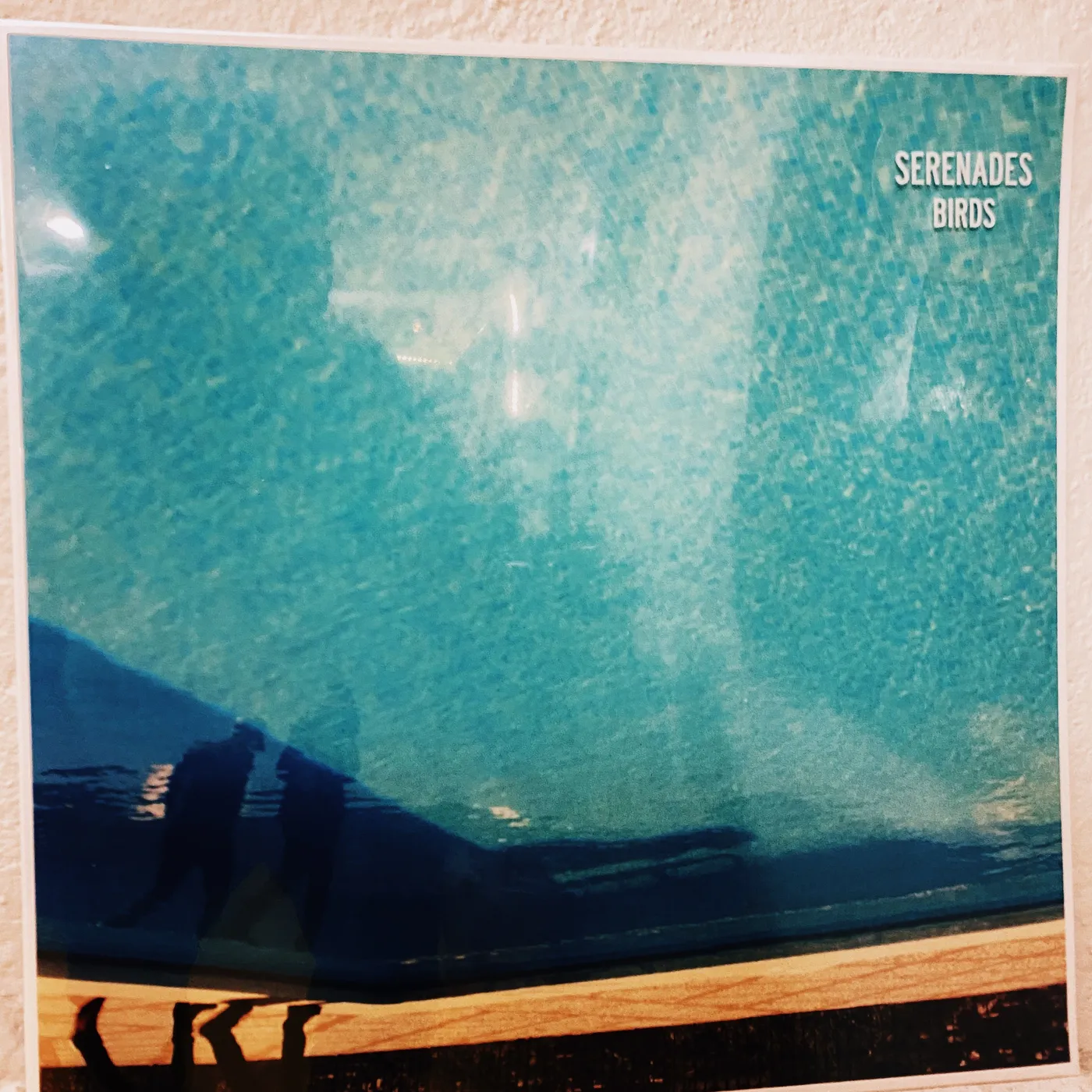 Markus Krunegård Serenades - Birds 12" EP (Vinyl)