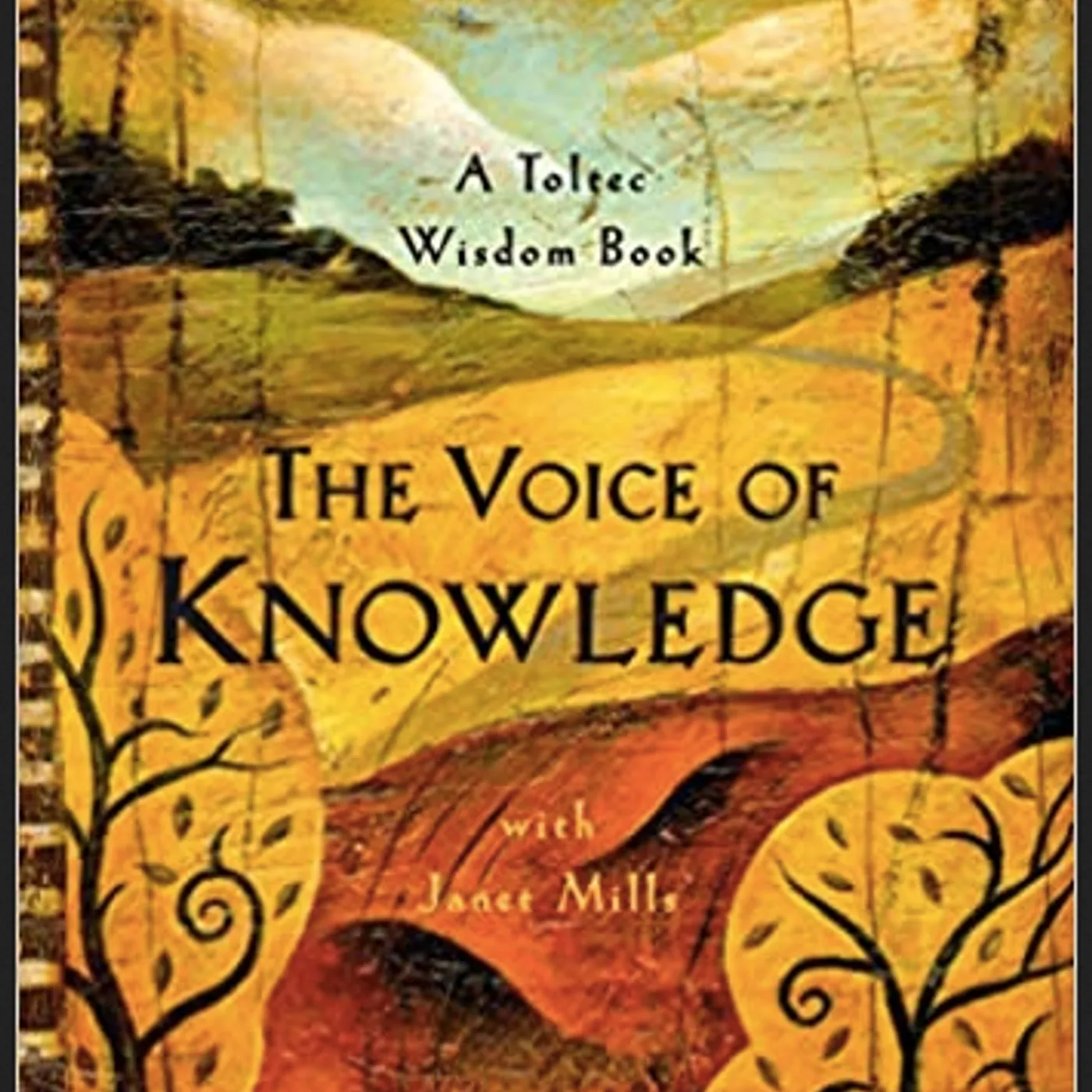 Don Miguel Ruiz - The Voice of Knowledge: A Practical Guide to Inner Peace (paperback)