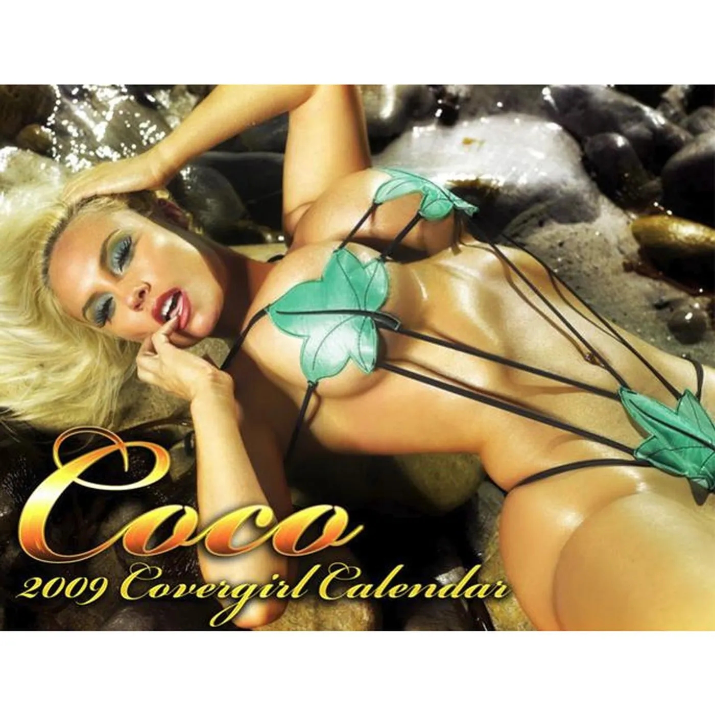 CoCo 2009 8x11 Calendar