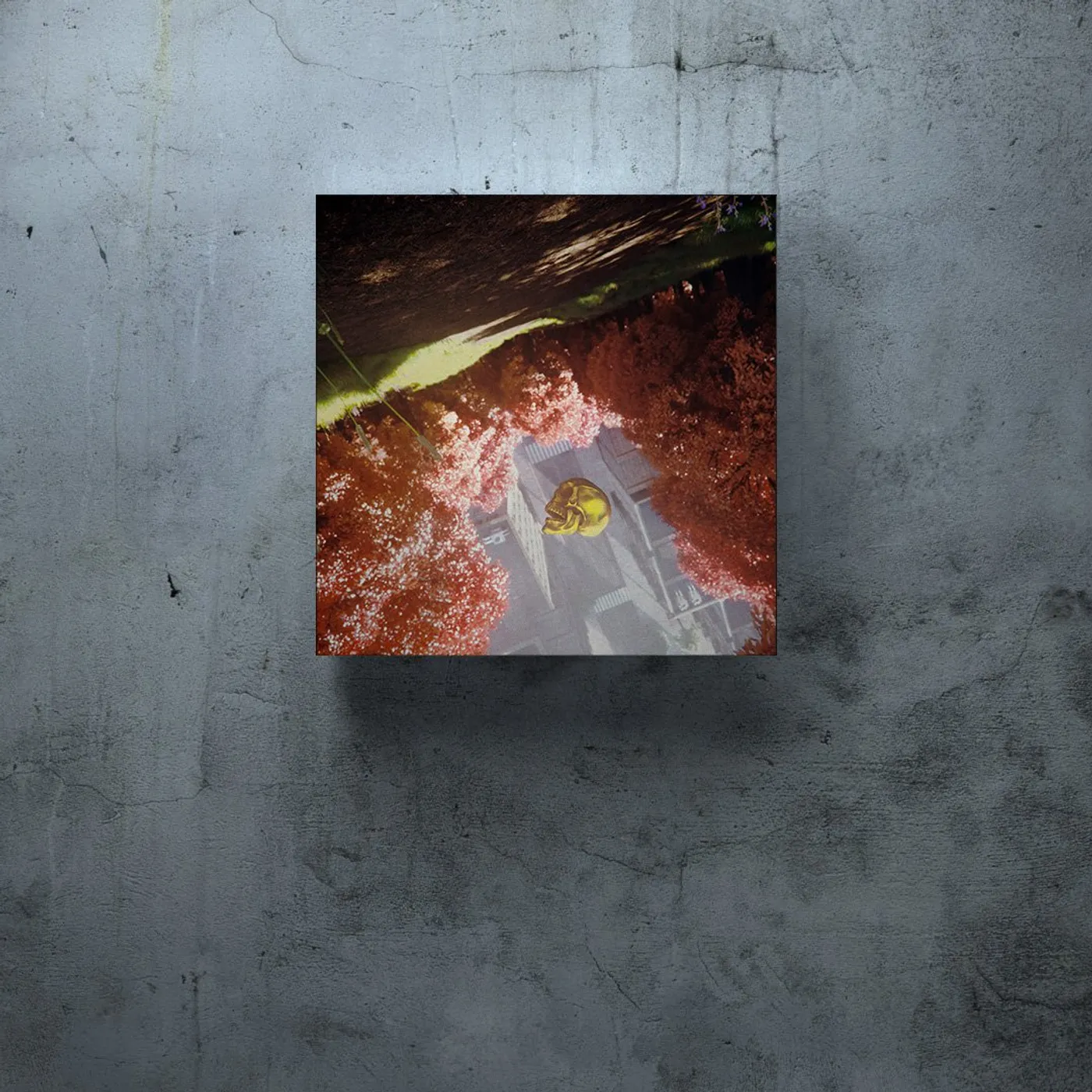 DROELOE Komorebi artwork - Canvas Wrap