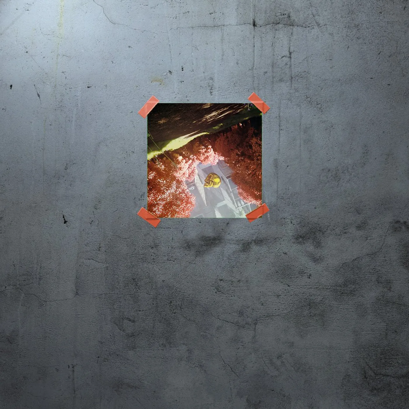 DROELOE Komorebi artwork - Lustre Print