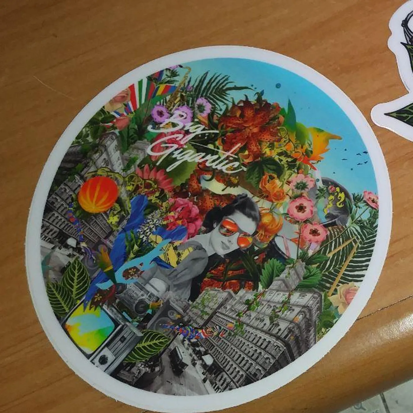 Big Gigantic CIRCLE STICKER