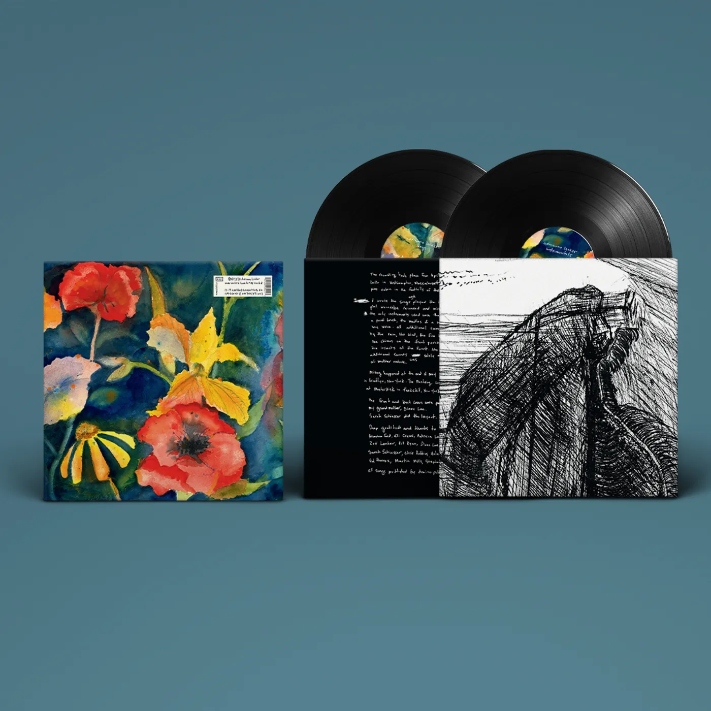 Adrianne Lenker songs and instrumentals 2LP (Vinyl)