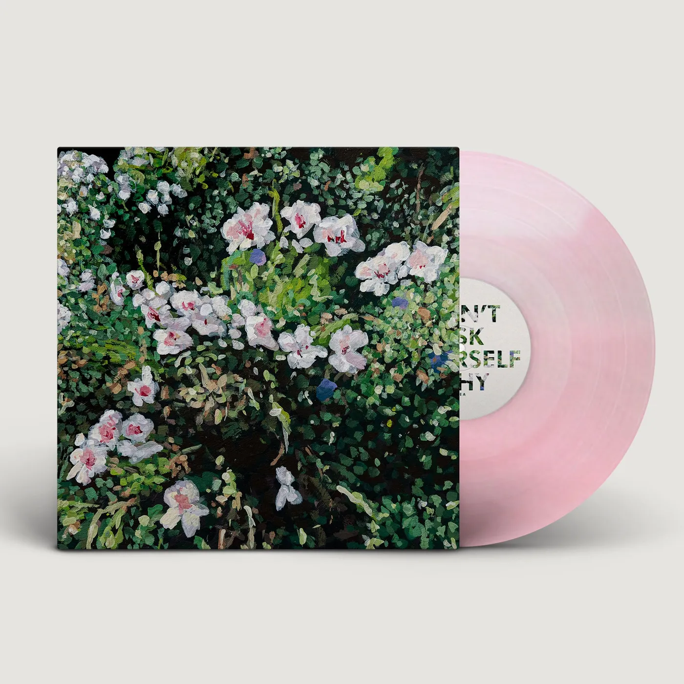 Jess Locke Don't Ask Yourself Why LP (Translucent Pink) (Vinyl)