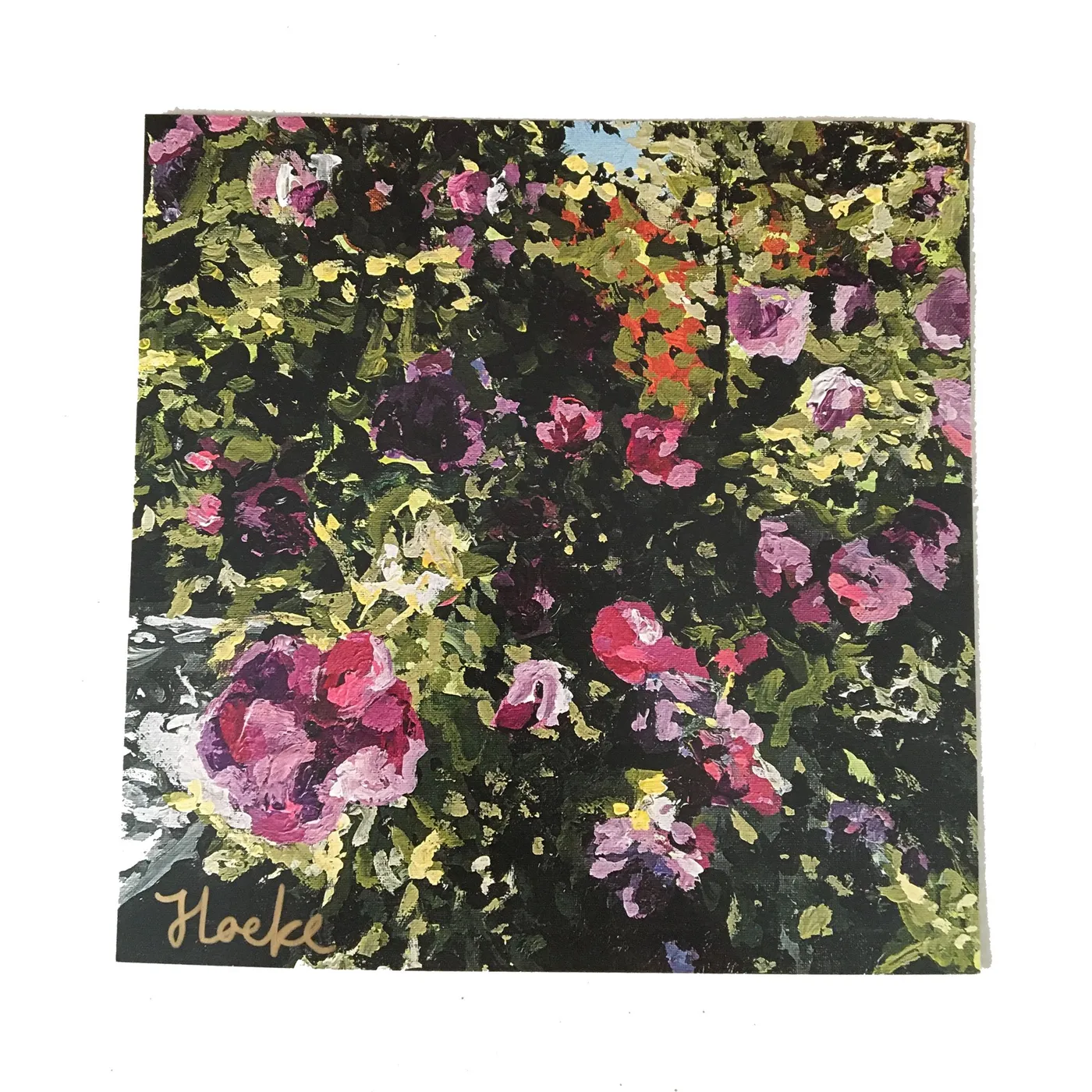 Jess Locke Don't Ask Yourself Why LP (Translucent Pink) (Vinyl)