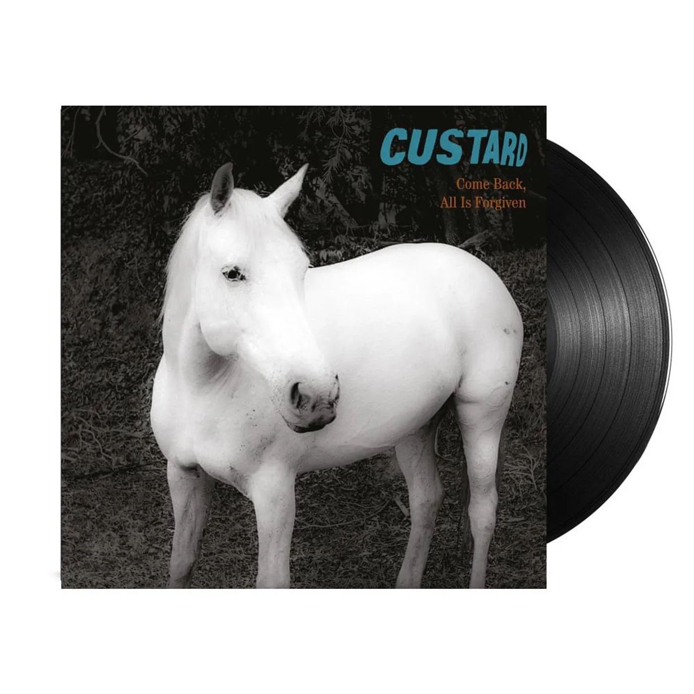 Custard Come Back, All Is Forgiven LP (Vinyl)