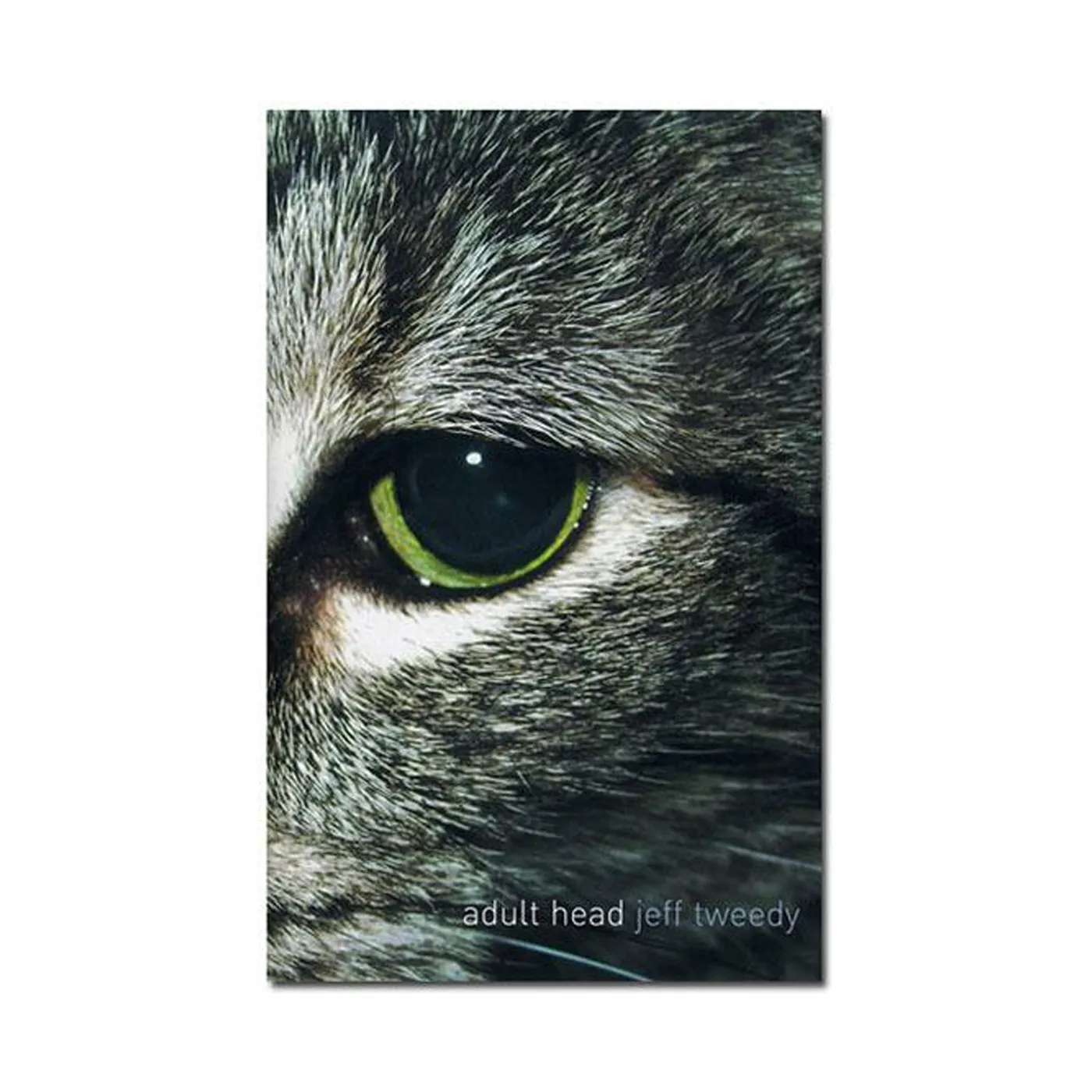 Jeff Tweedy Adult Head Book