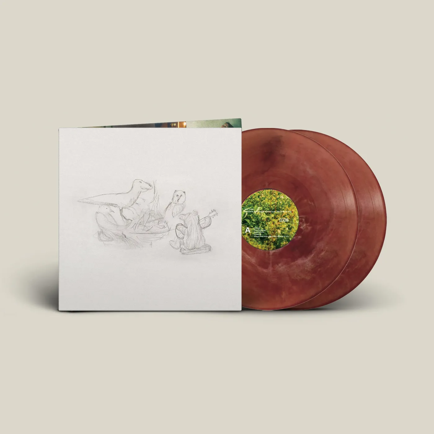 Big Thief Dragon New Warm Mountain I Believe In You 2LP (Eco-Mix Colour Vinyl)