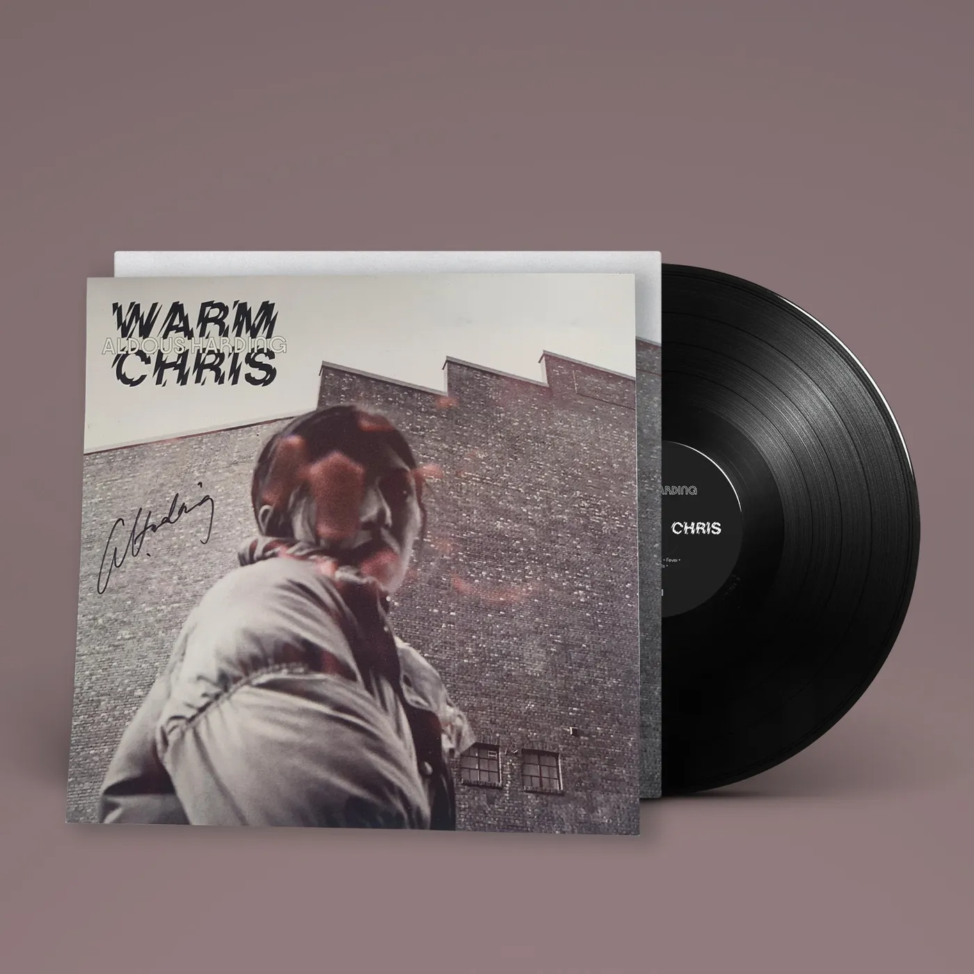 Aldous Harding Warm Chris LP (Black) (Vinyl)