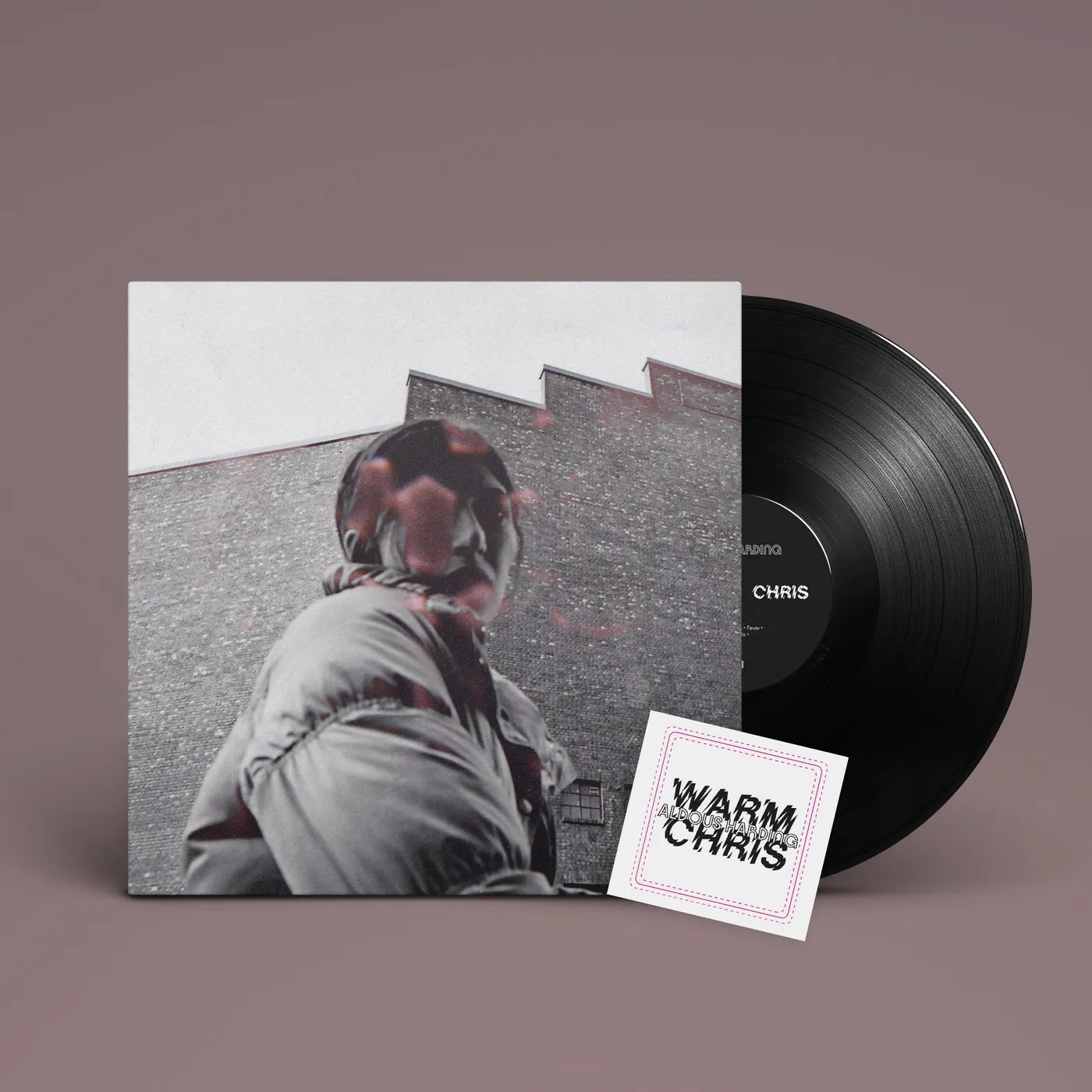 Aldous Harding Warm Chris LP (Black) (Vinyl)