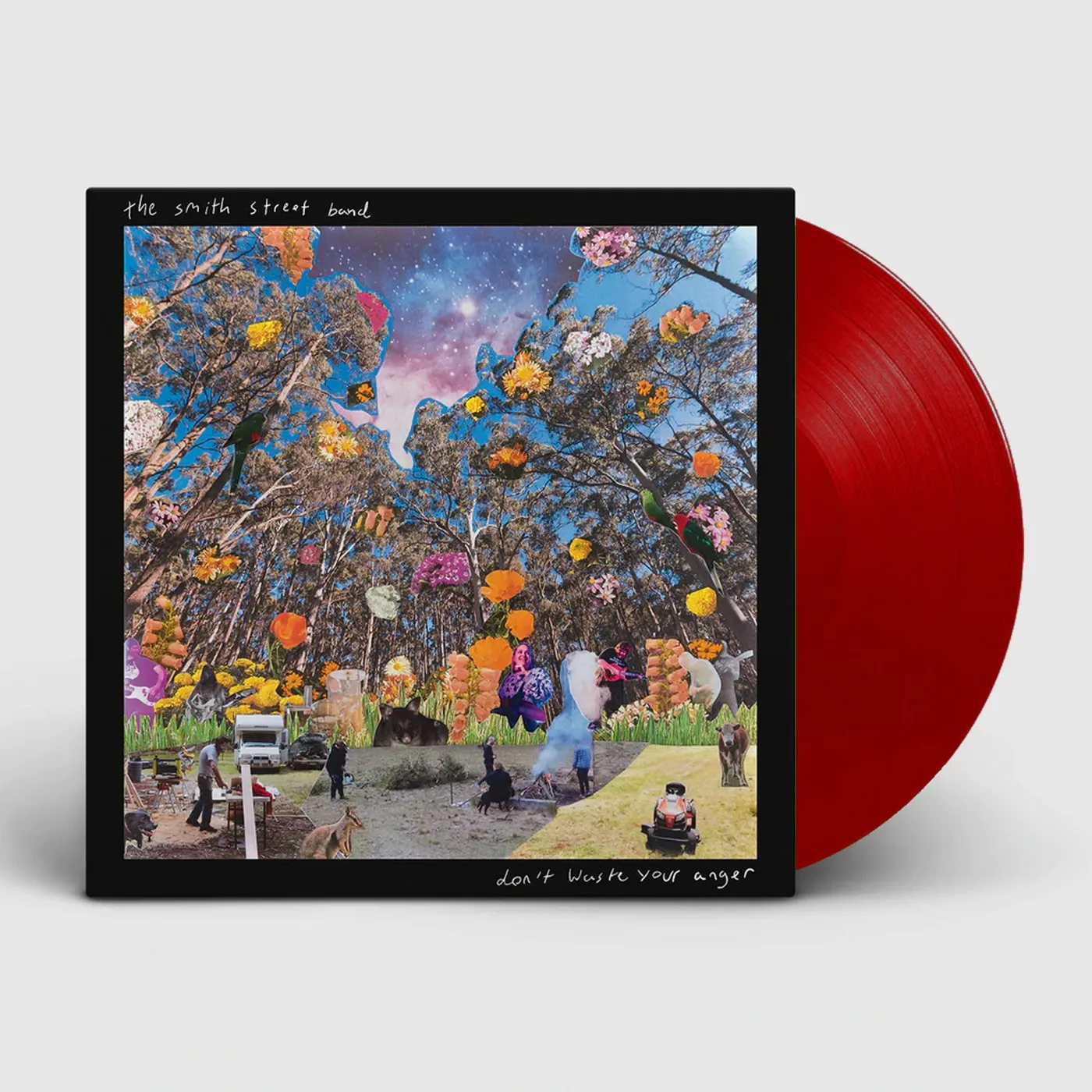 The Smith Street Band Don't Waste Your Anger LP (Transparent Red) (Vinyl)