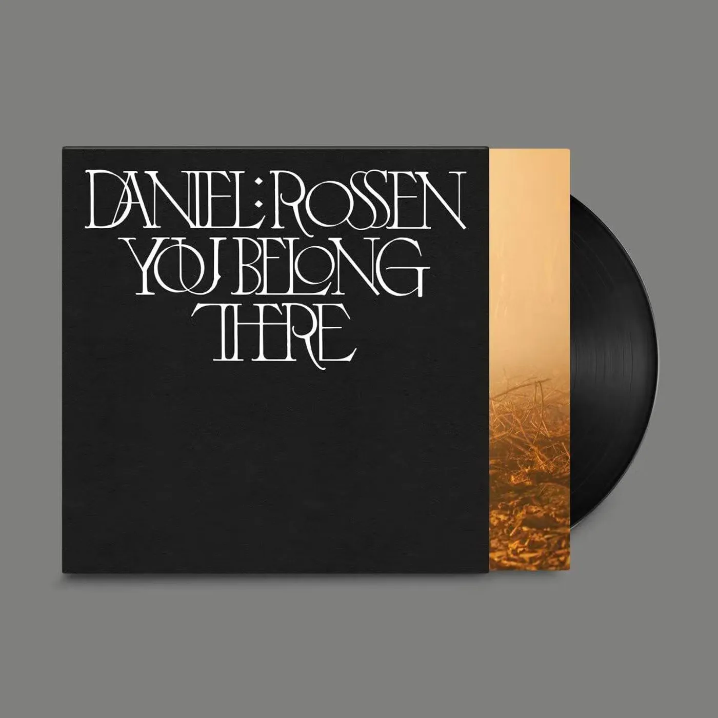 Daniel Rossen You Belong There LP (Black) (Vinyl)