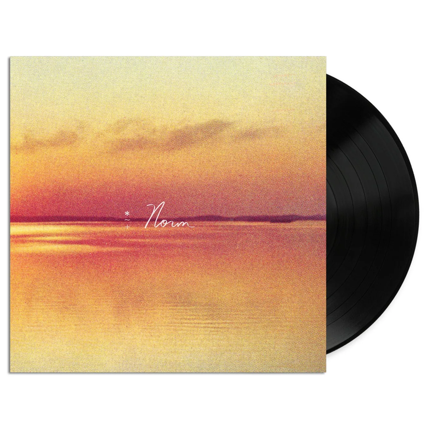 Andy Shauf Norm LP (Black Vinyl)