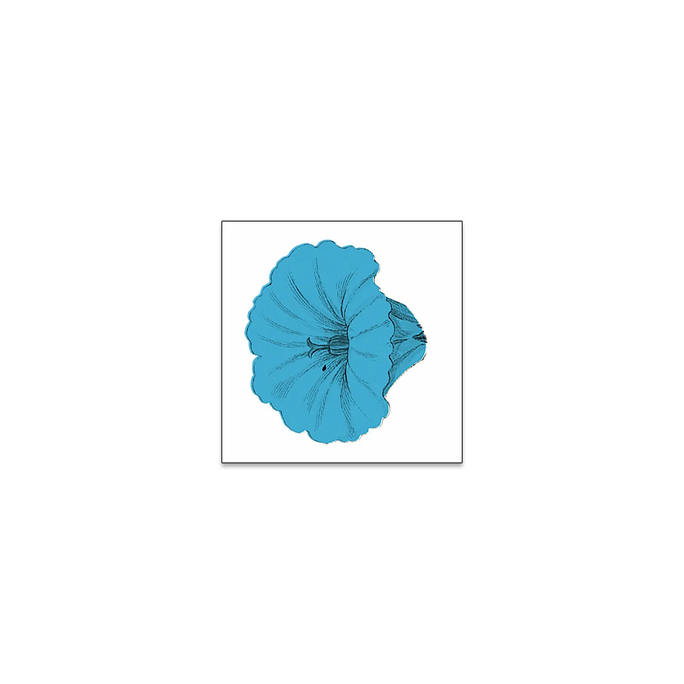 Bakers Eddy Blue Flower Sticker