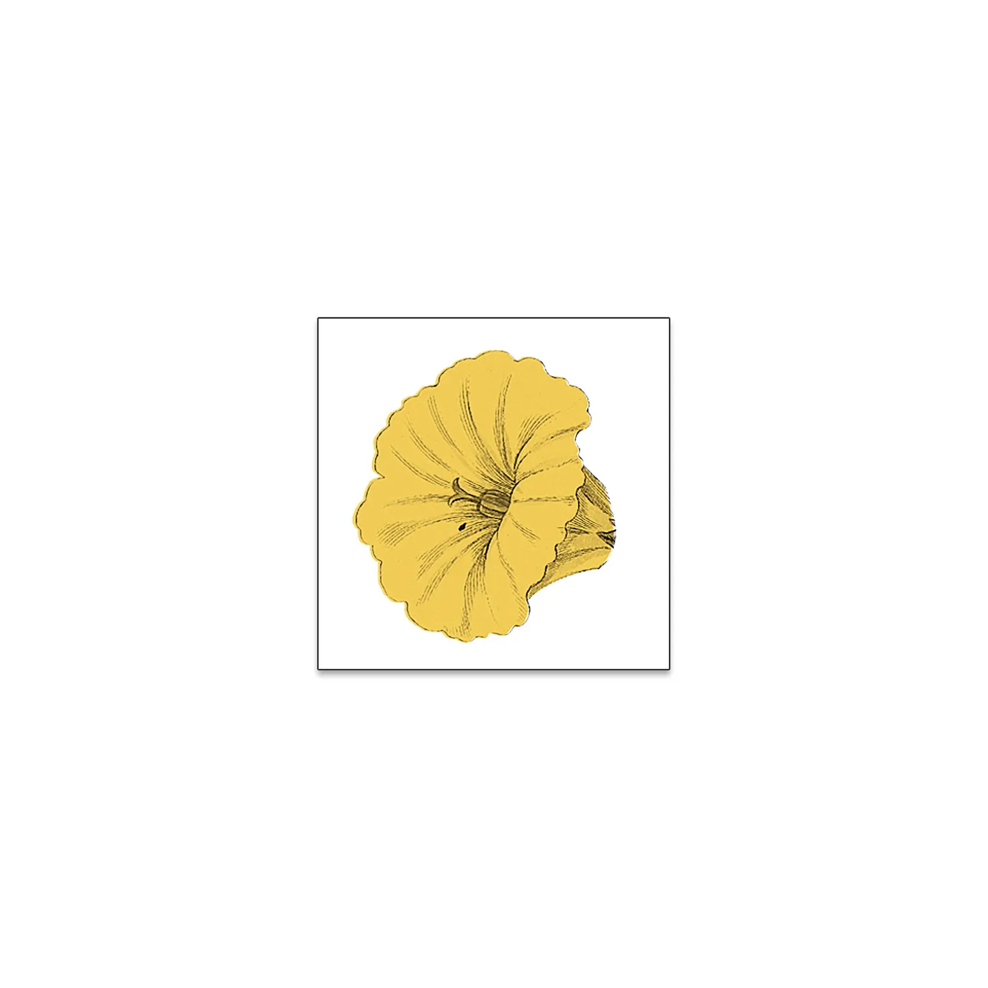 Bakers Eddy Yellow Flower Sticker