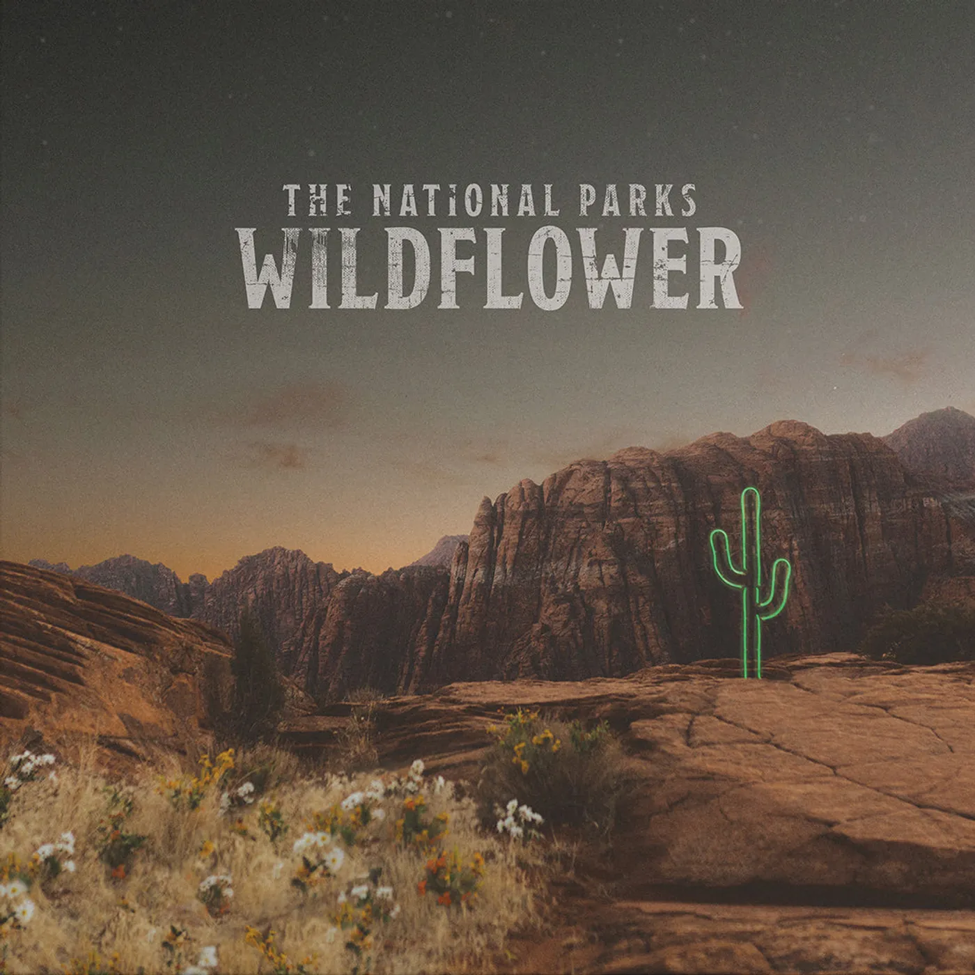 The National Parks | Wildflower CD + Digital Download