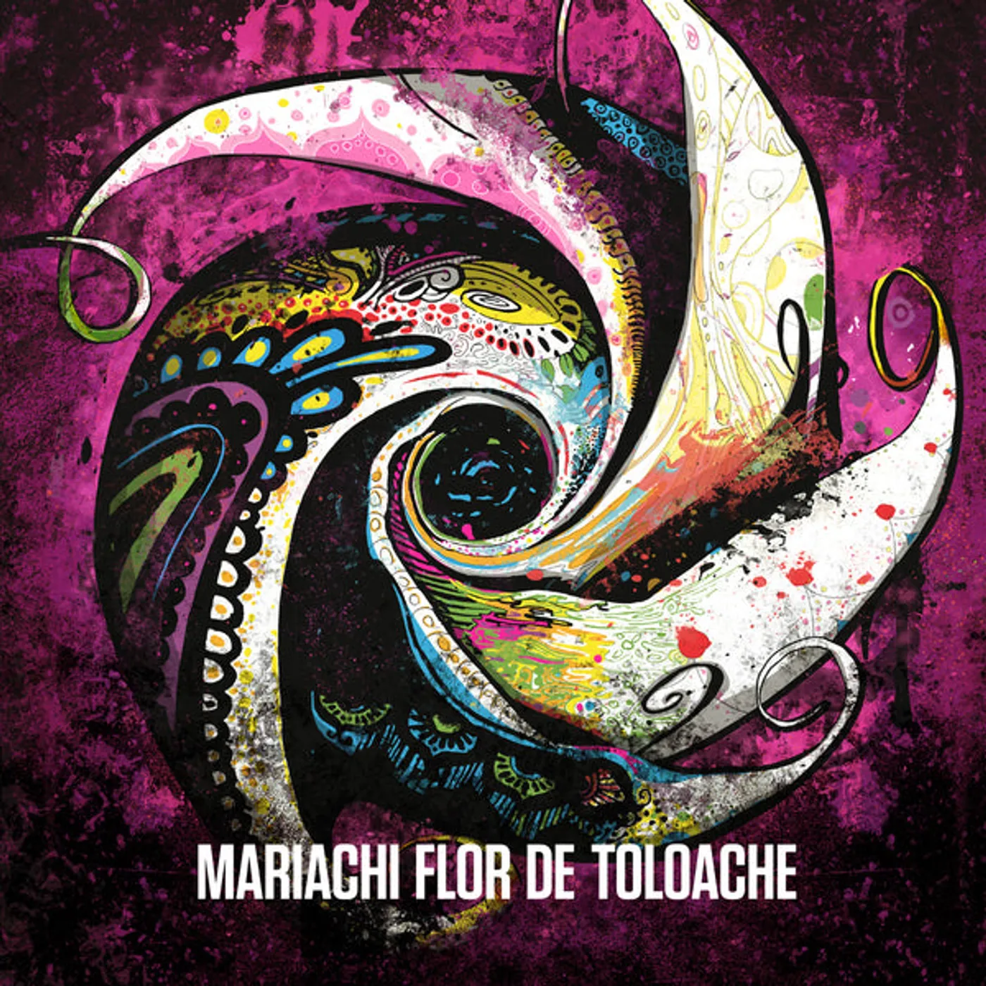 Flor de Toloache Mariachi