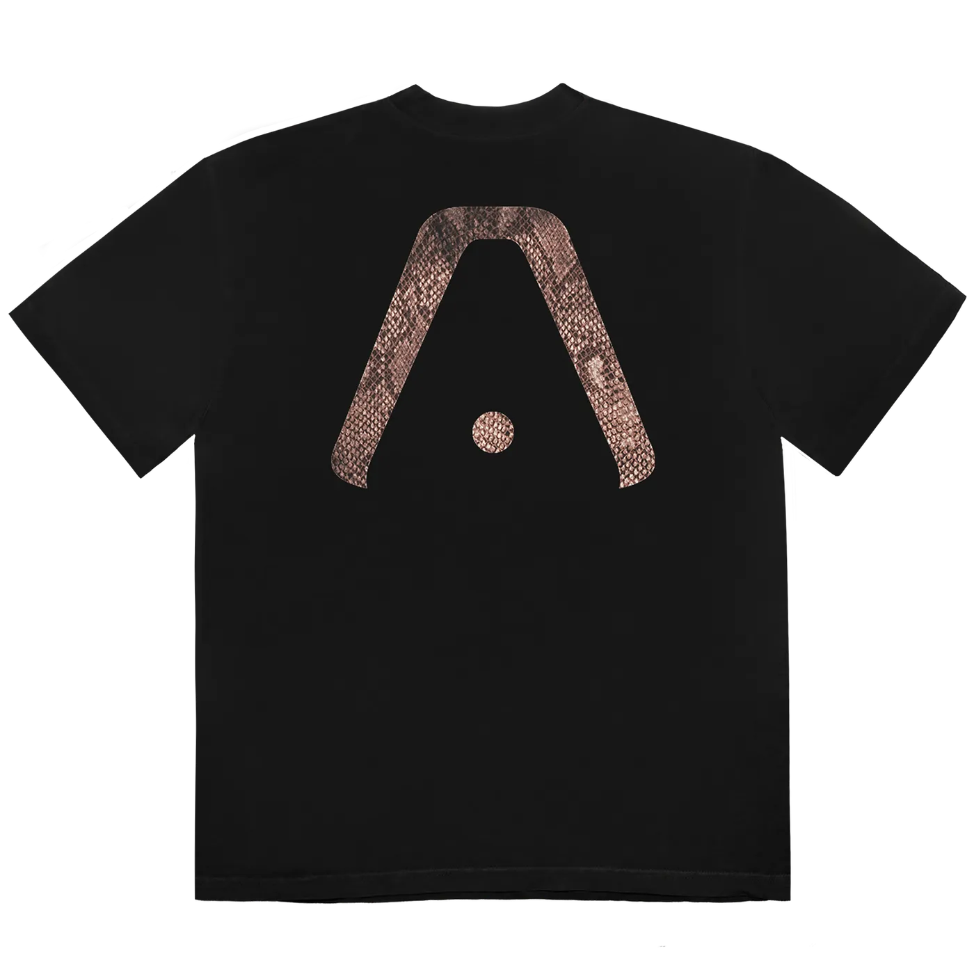 Aaliyah Self Titled Photo T-Shirt
