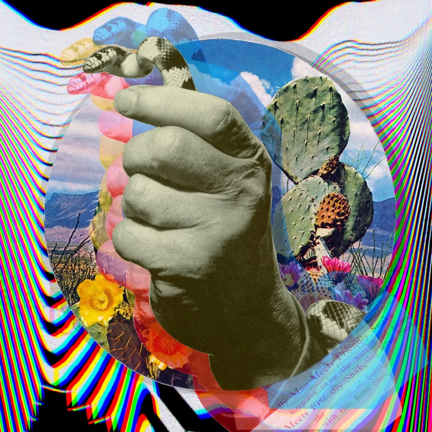 Caracol / Symbolism - CD