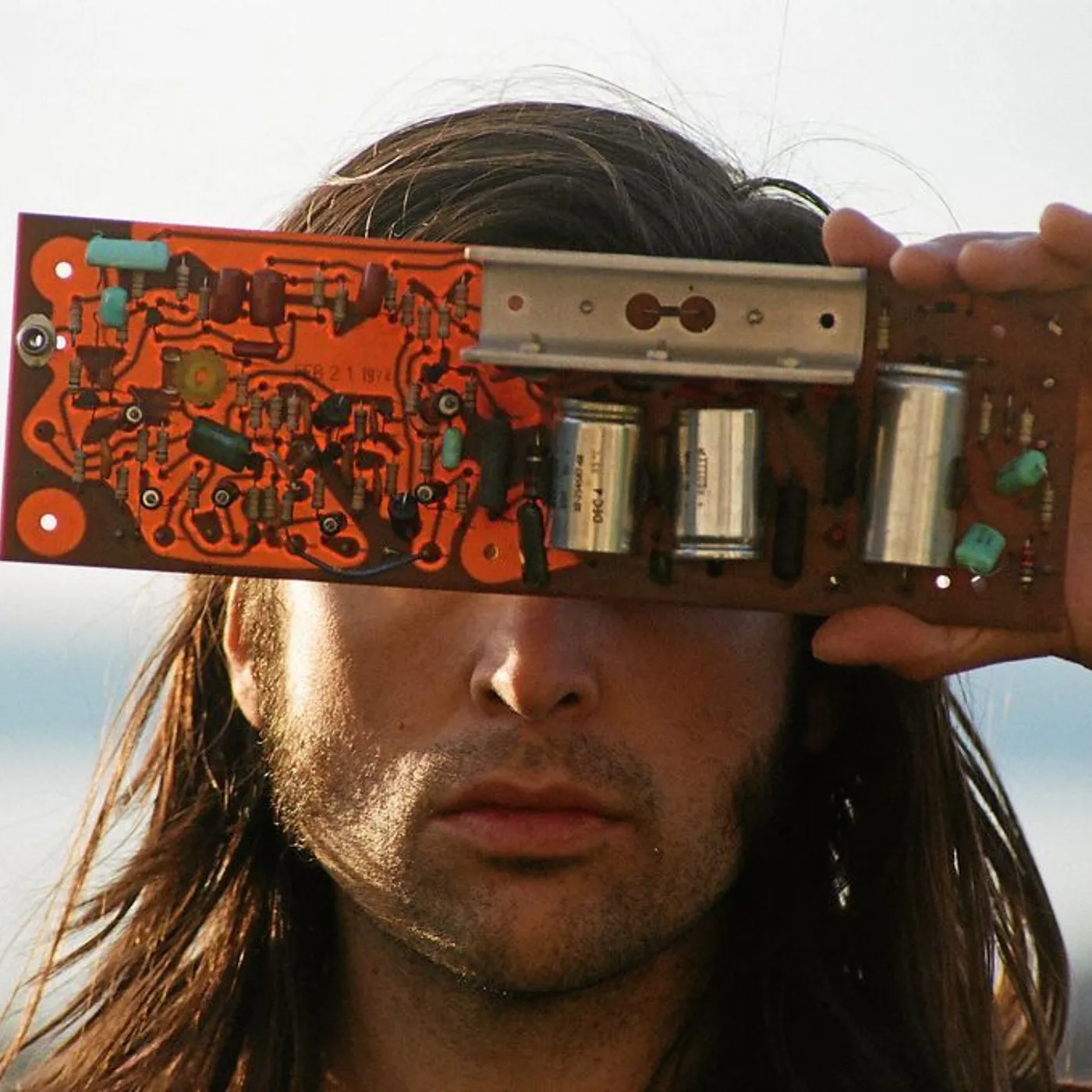 Flore Laurentienne / Volume 1 - LP Vinyl